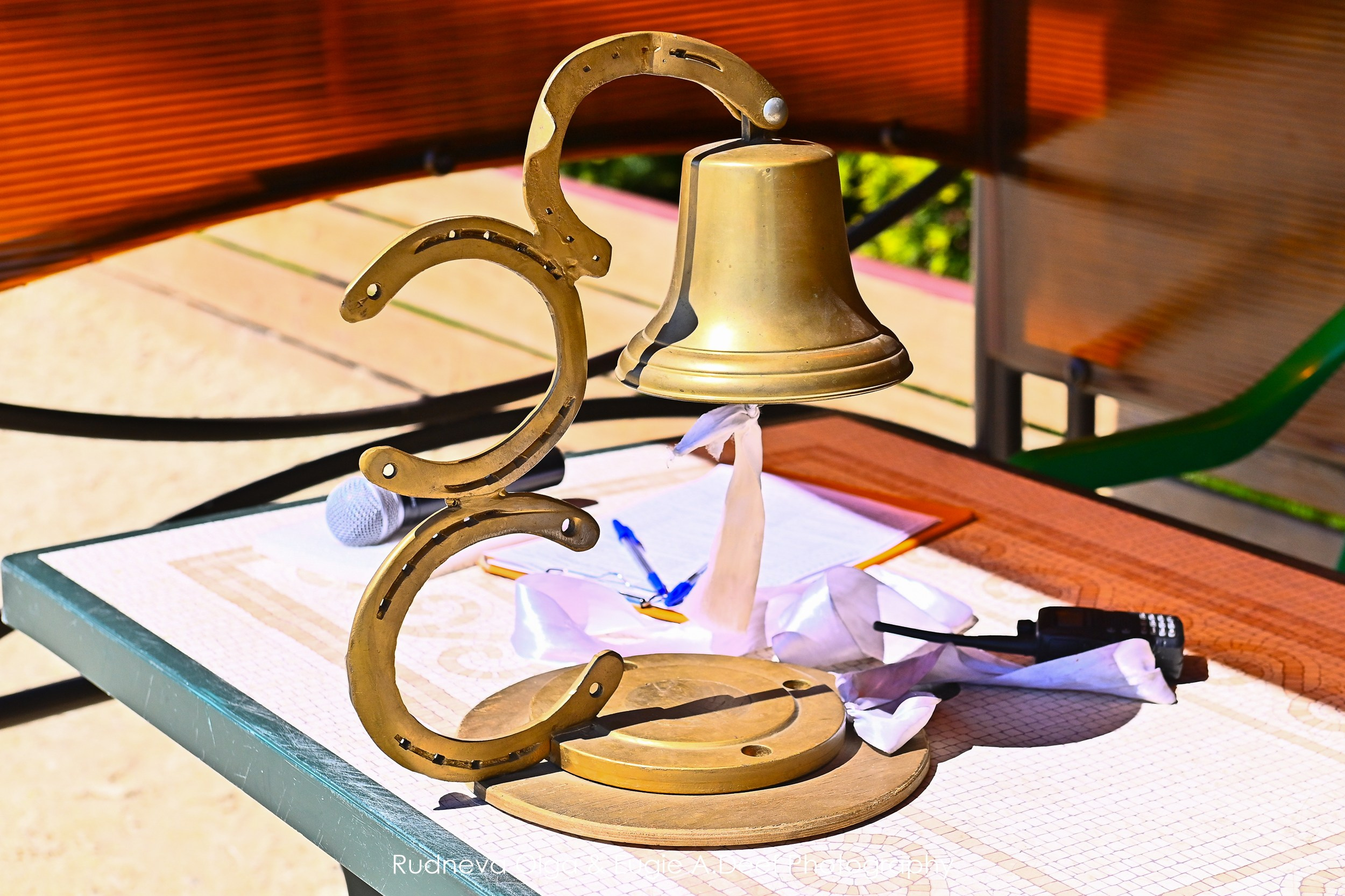 Кубок Истринского городского округа по выездке —18 мая 2024. ТУРНИРНАЯ КОННАЯ ФОТОГРАФИЯ, Руднева Ольга и Евгений Адеев