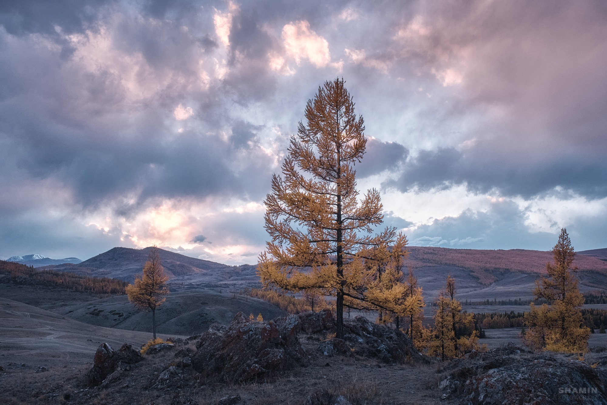 Алтай — пейзажная фотография Константина Шамина. Горы, реки и долины Алтая, природный свет, аэрофотосъёмка и классические пейзажи России.