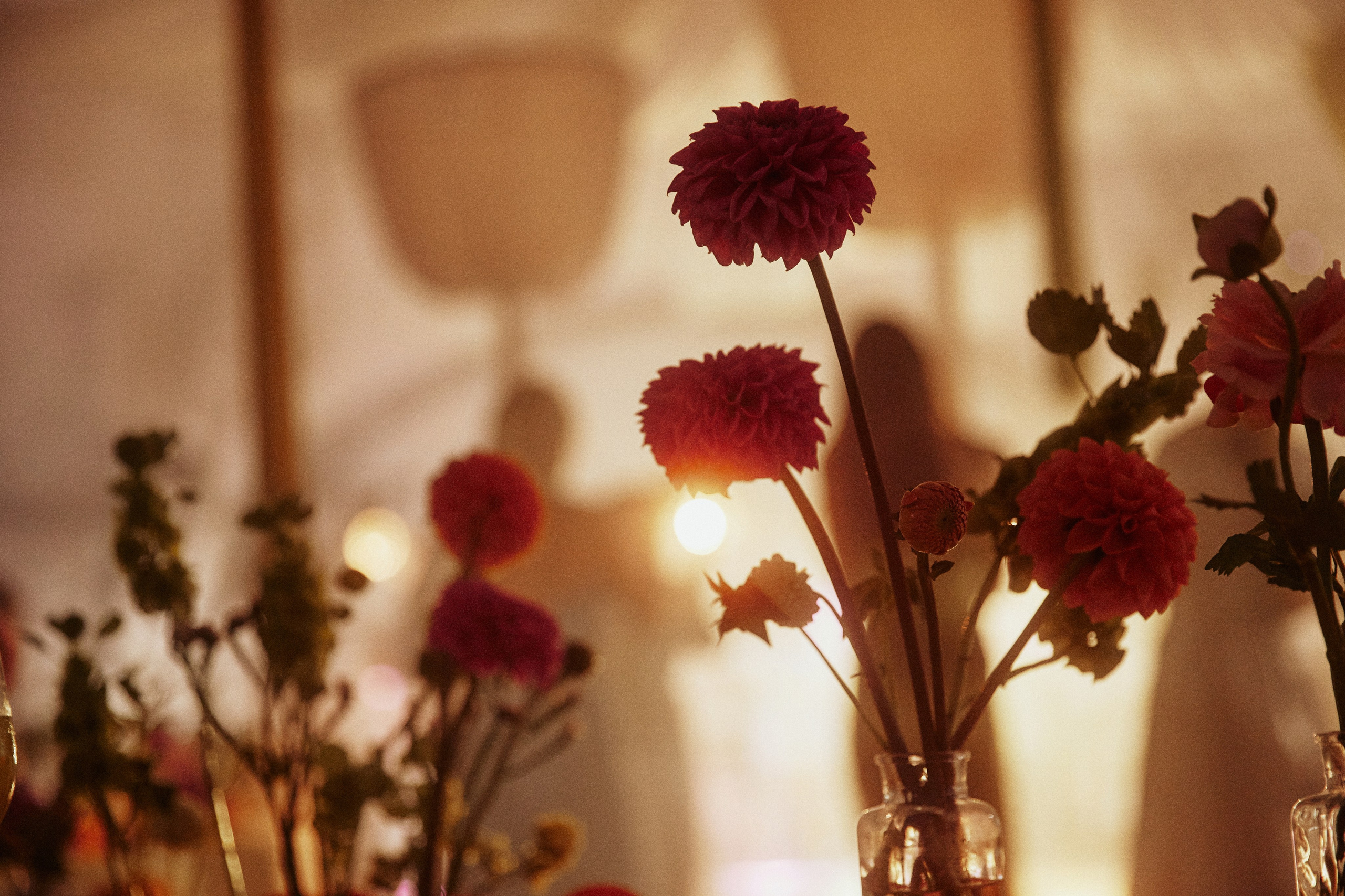 AMORE DA CINEMA. Дмитрий Мазуркевич: Профессиональный Репортажный Фотограф