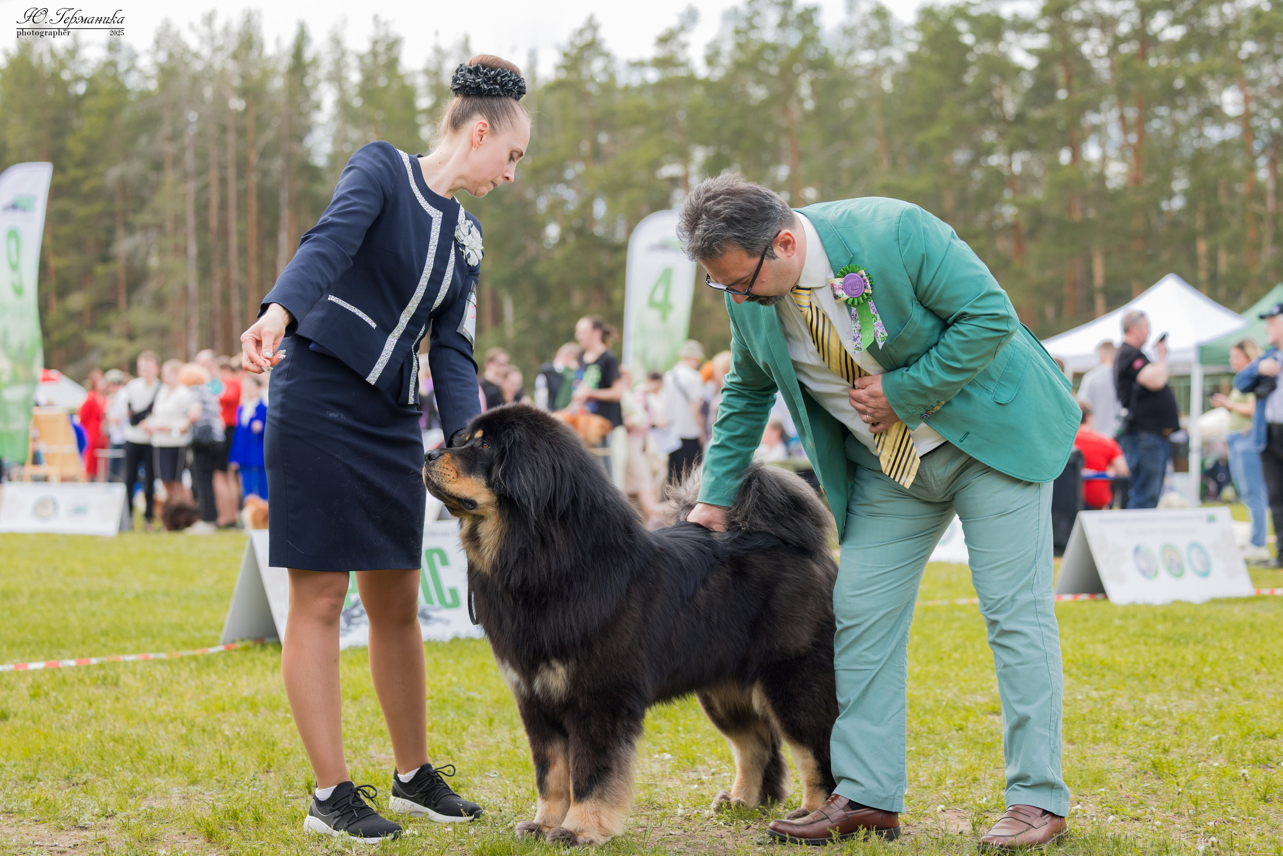 Суздаль(Владимир)17-18.05.2025. Фотограф-анималист Юлия Германика
