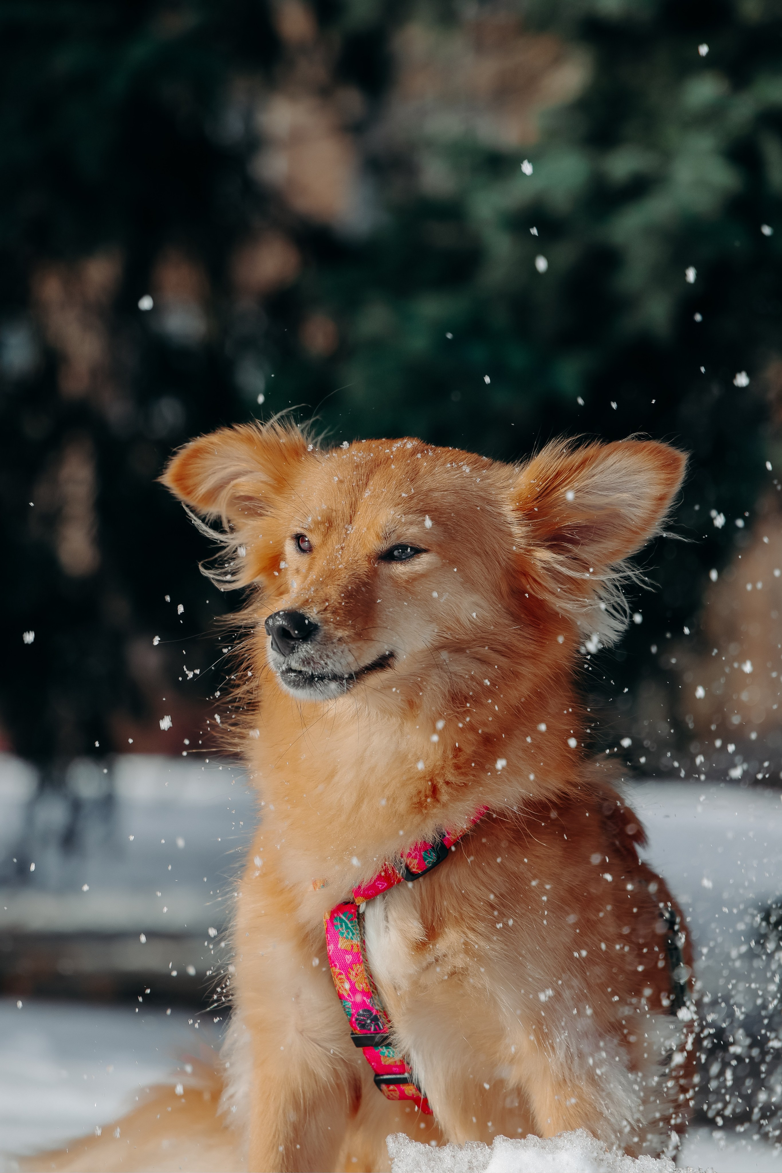 Кнопа. Валерия Гуртовая | Фотограф, Санкт-Петербург