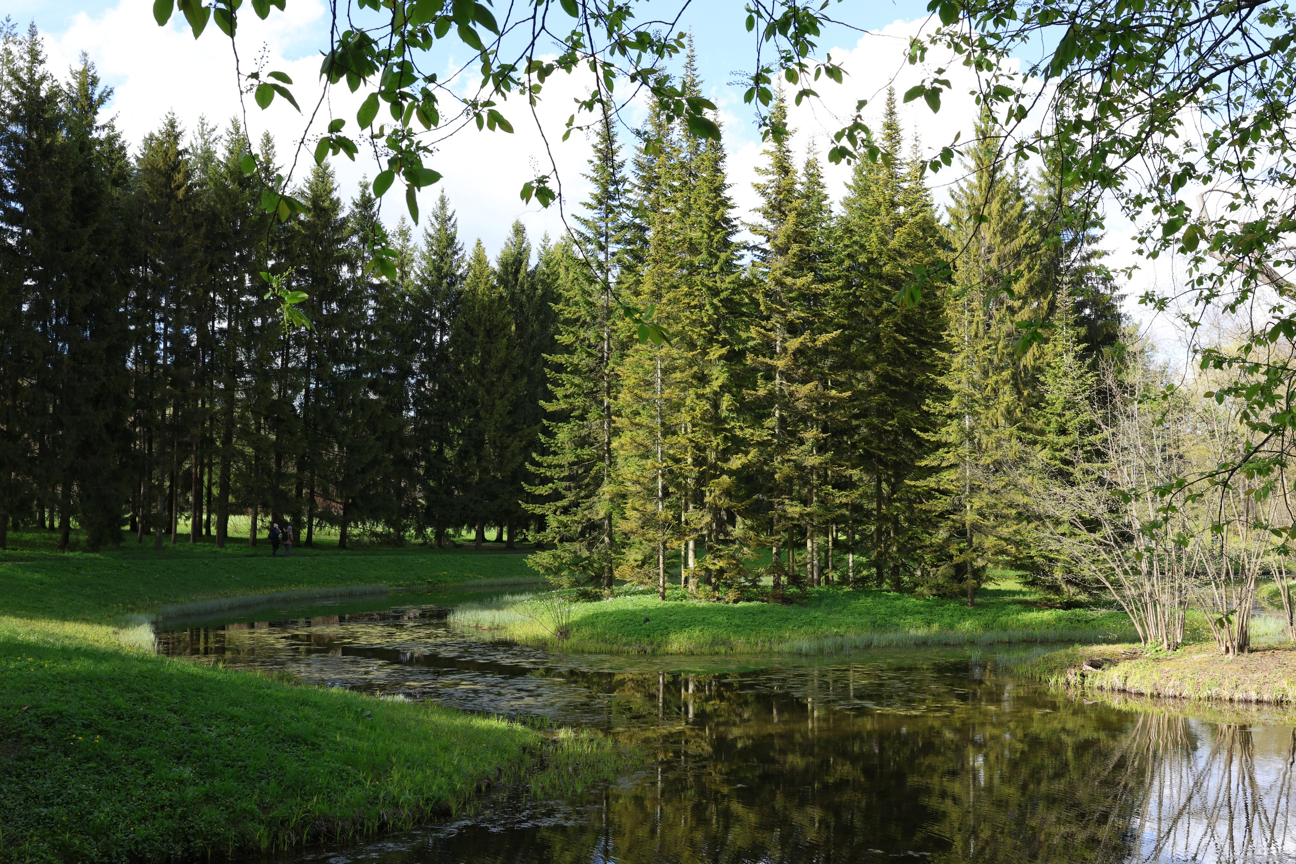 Пейзажи. Фотограф из Санкт-Петербурга — Виктория Горелкова