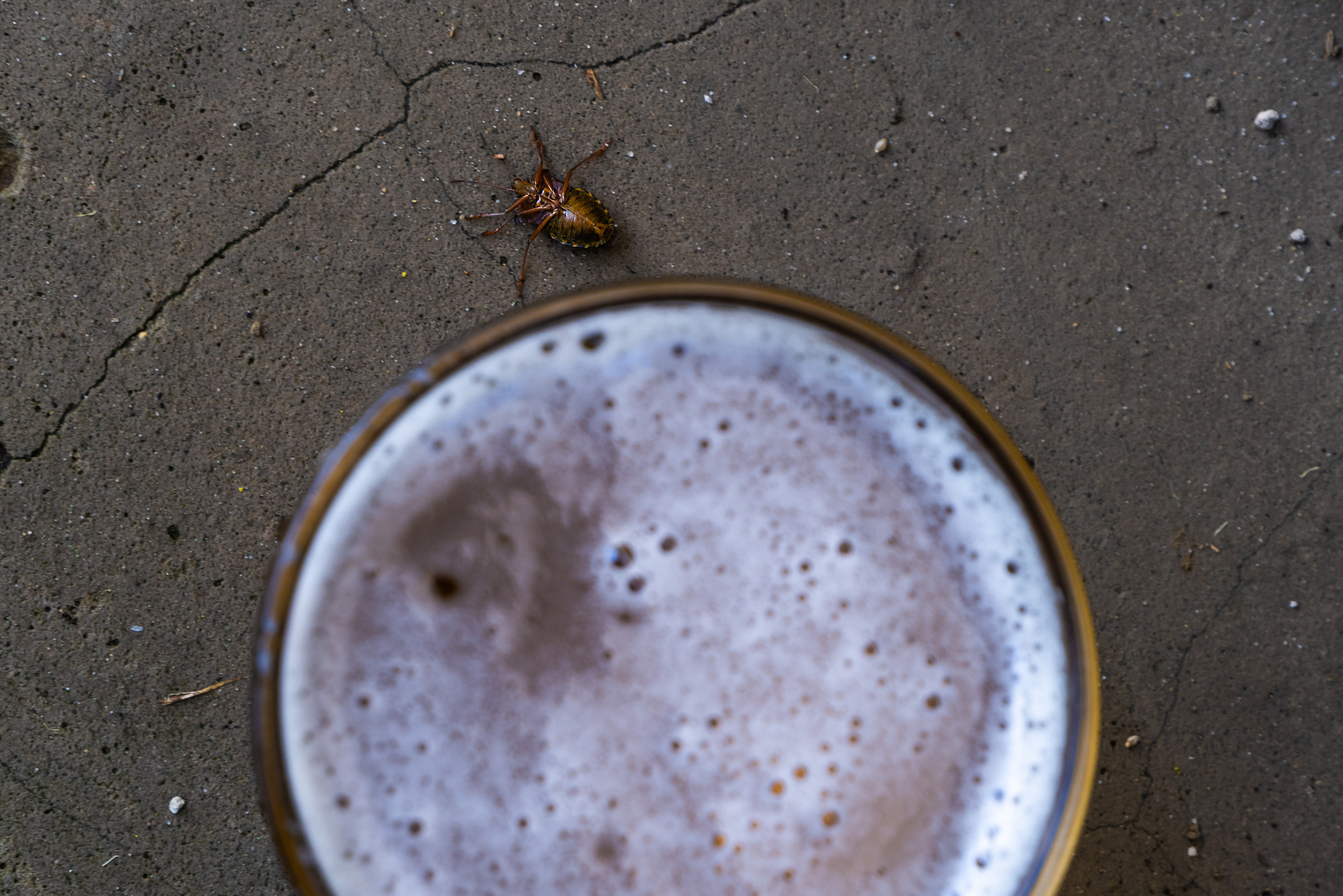 Предметная и фуд-фотография (Food and subject photography). Фотограф (photographer) Lischinski Vitaliy