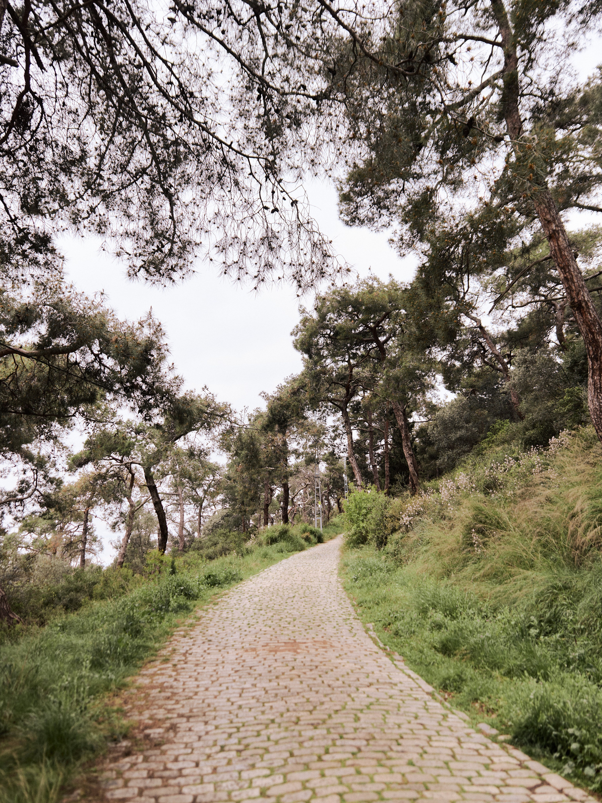 Диптих. Jorgis — фотограф в Хургаде / обучение фотографии