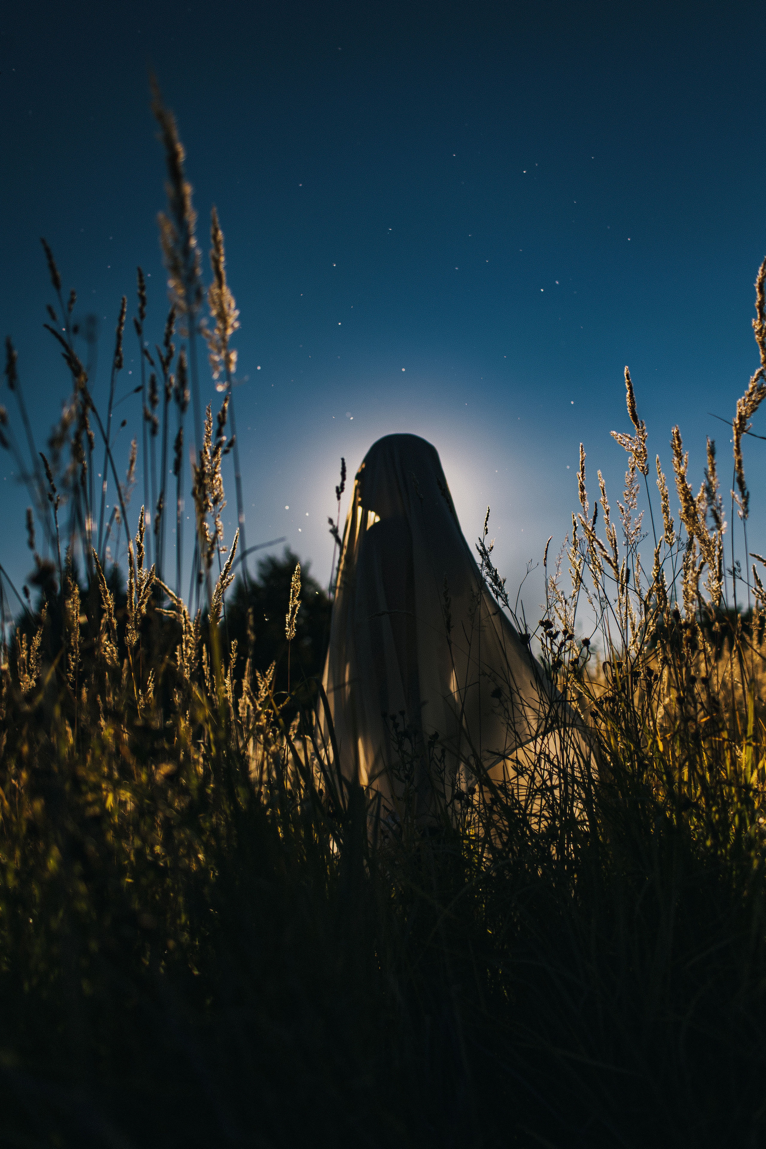 Олика. Семейный домашний фотограф Москва Зеленоград Настя Маркова