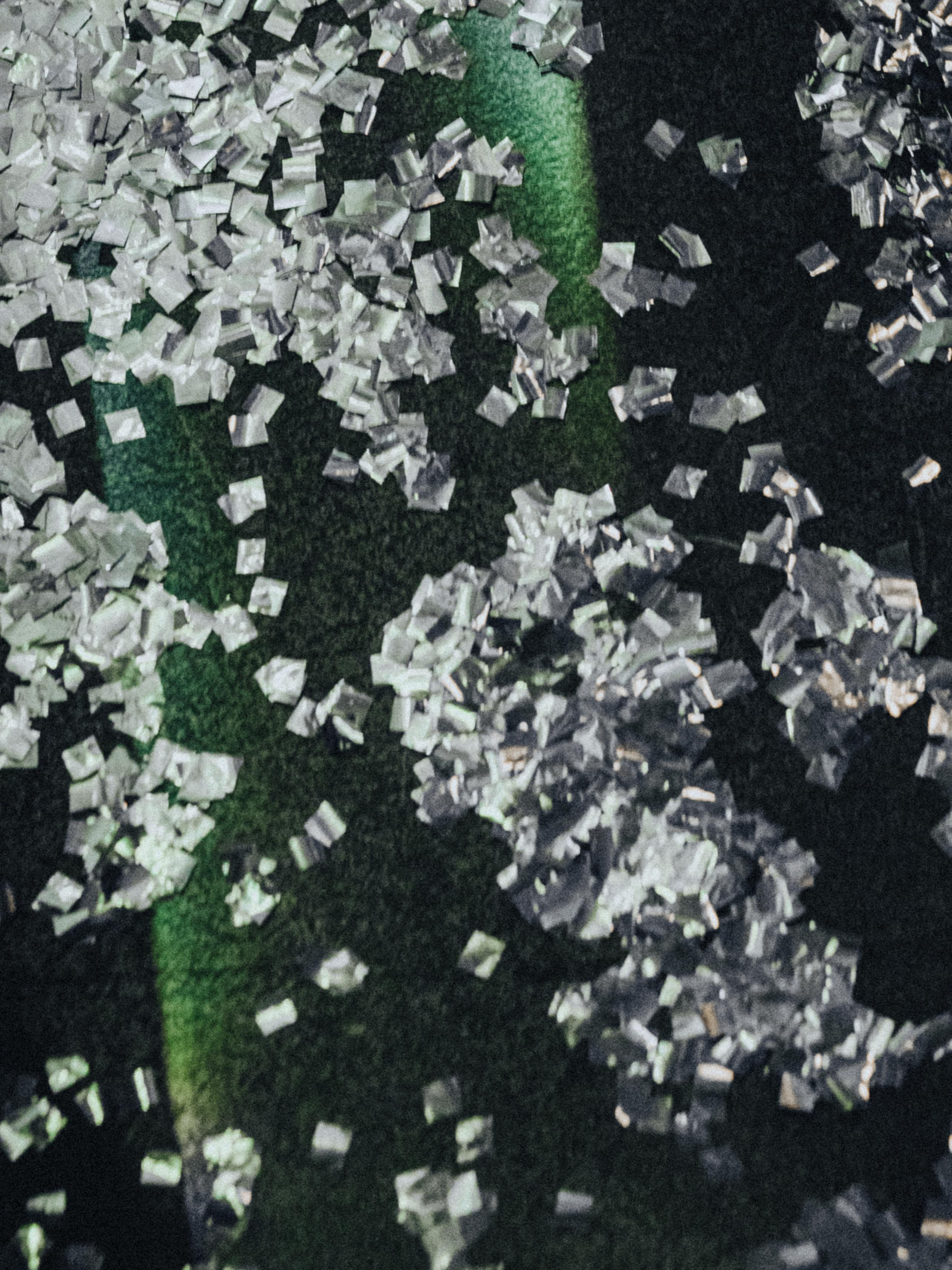 Follow the white rabbit. Вадим Зименков