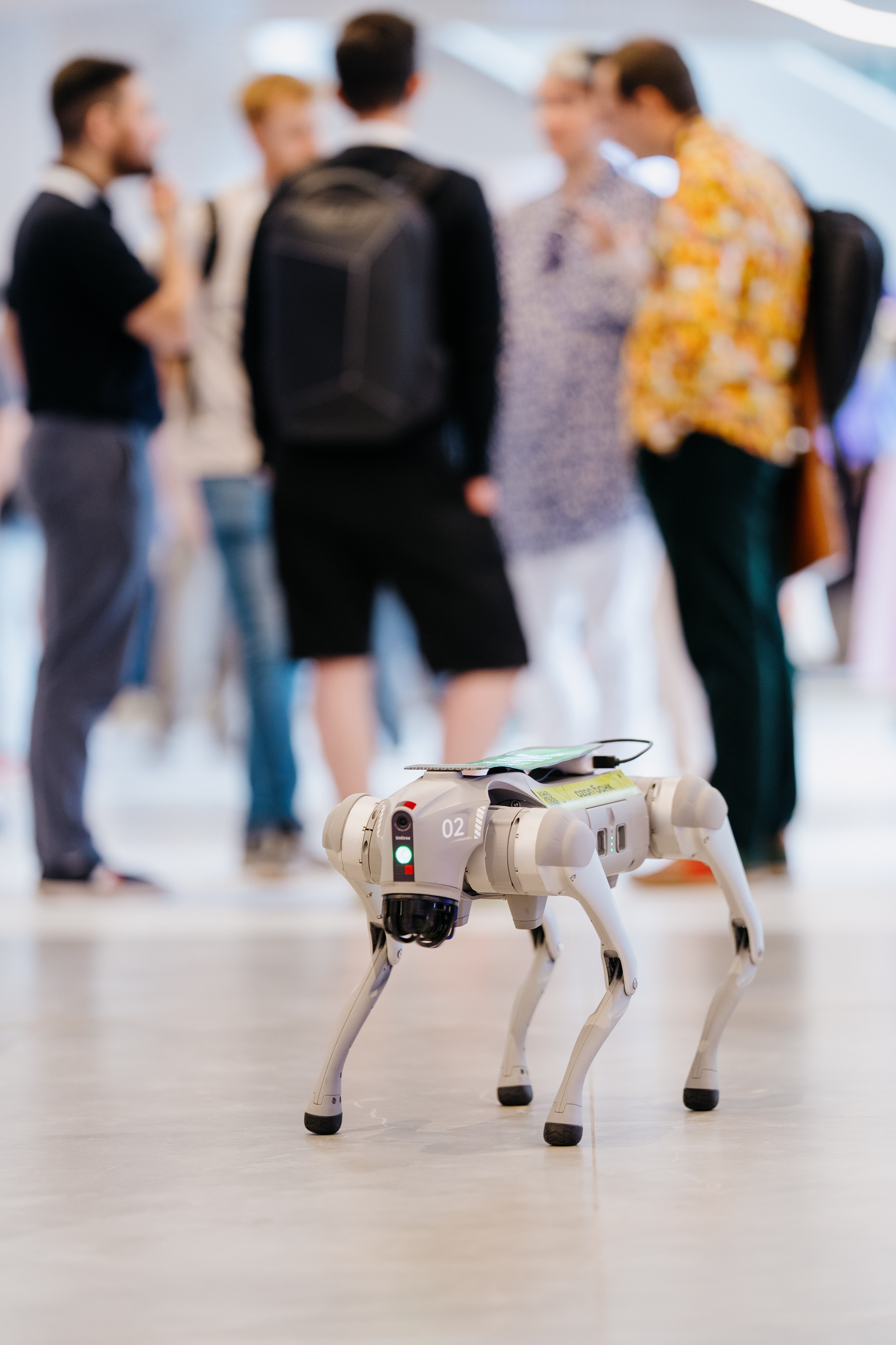 Aha! — 6 июня 2024. Фотобанк Матемаркетинг