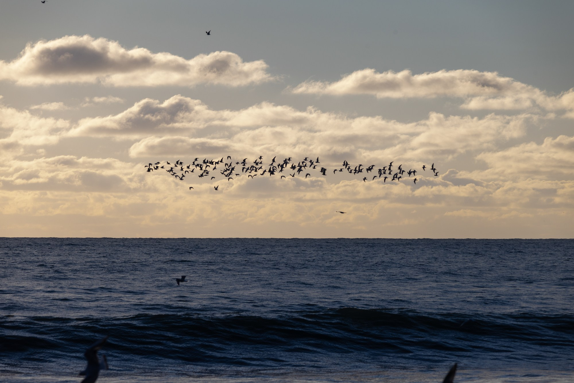 Море и серферы. Репортажный и постановочный Наталья Санникова