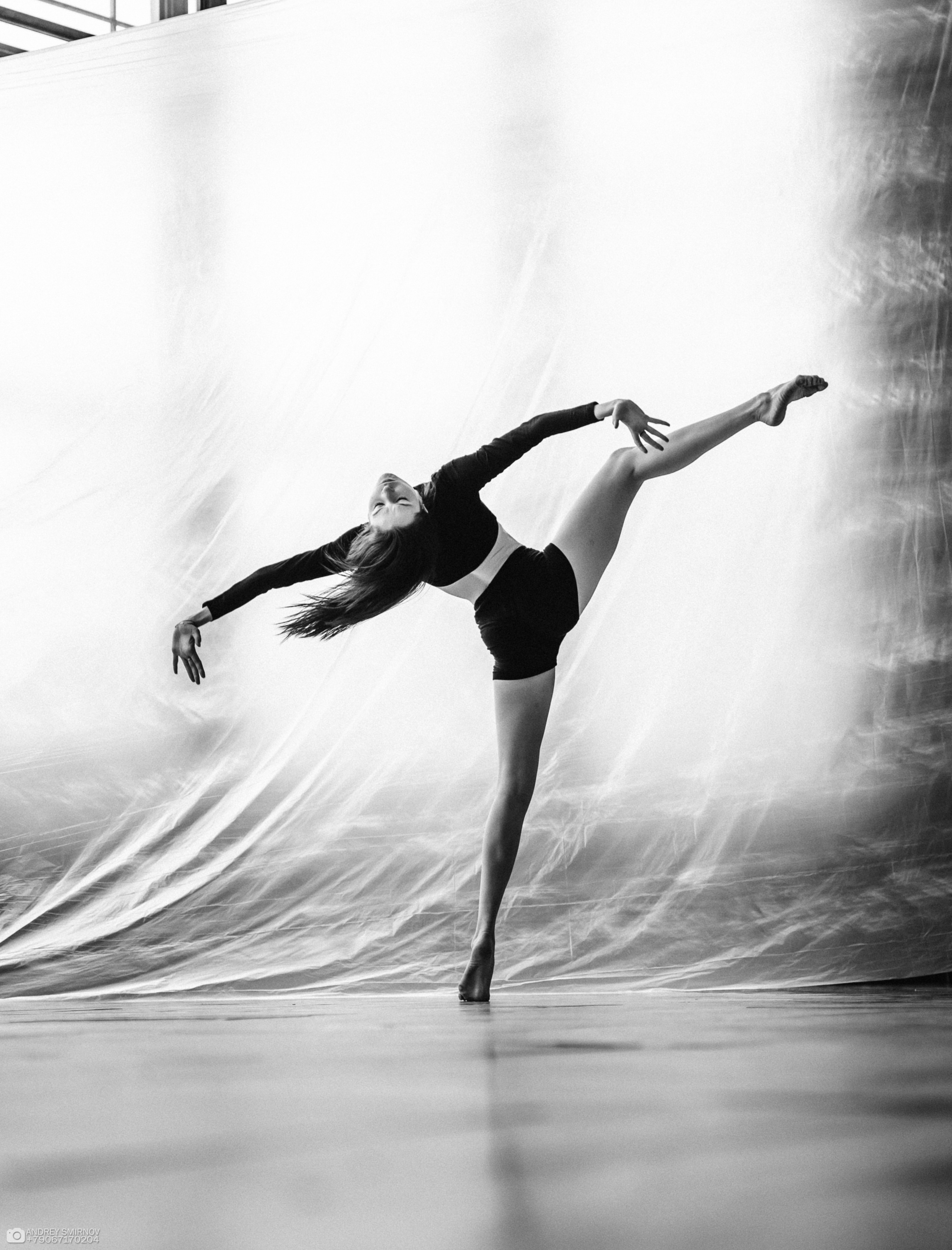 Forse Vivo. FOTOZ Studio / Фотовидеомейкер Андрей Смирнов