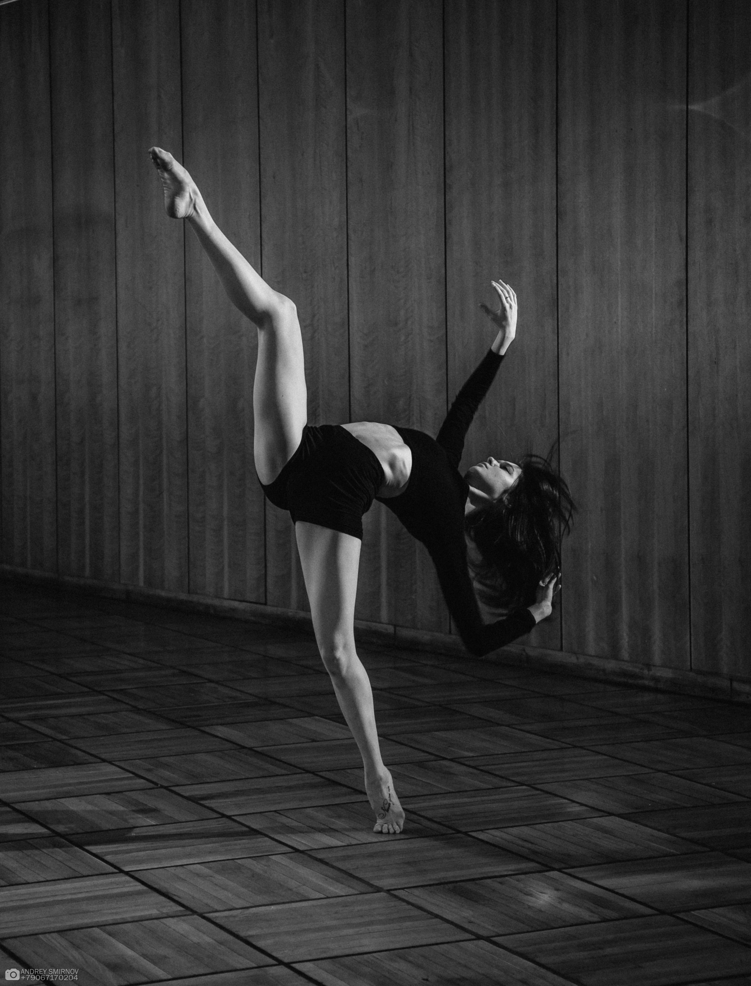 Forse Vivo. FOTOZ Studio / Фотовидеомейкер Андрей Смирнов