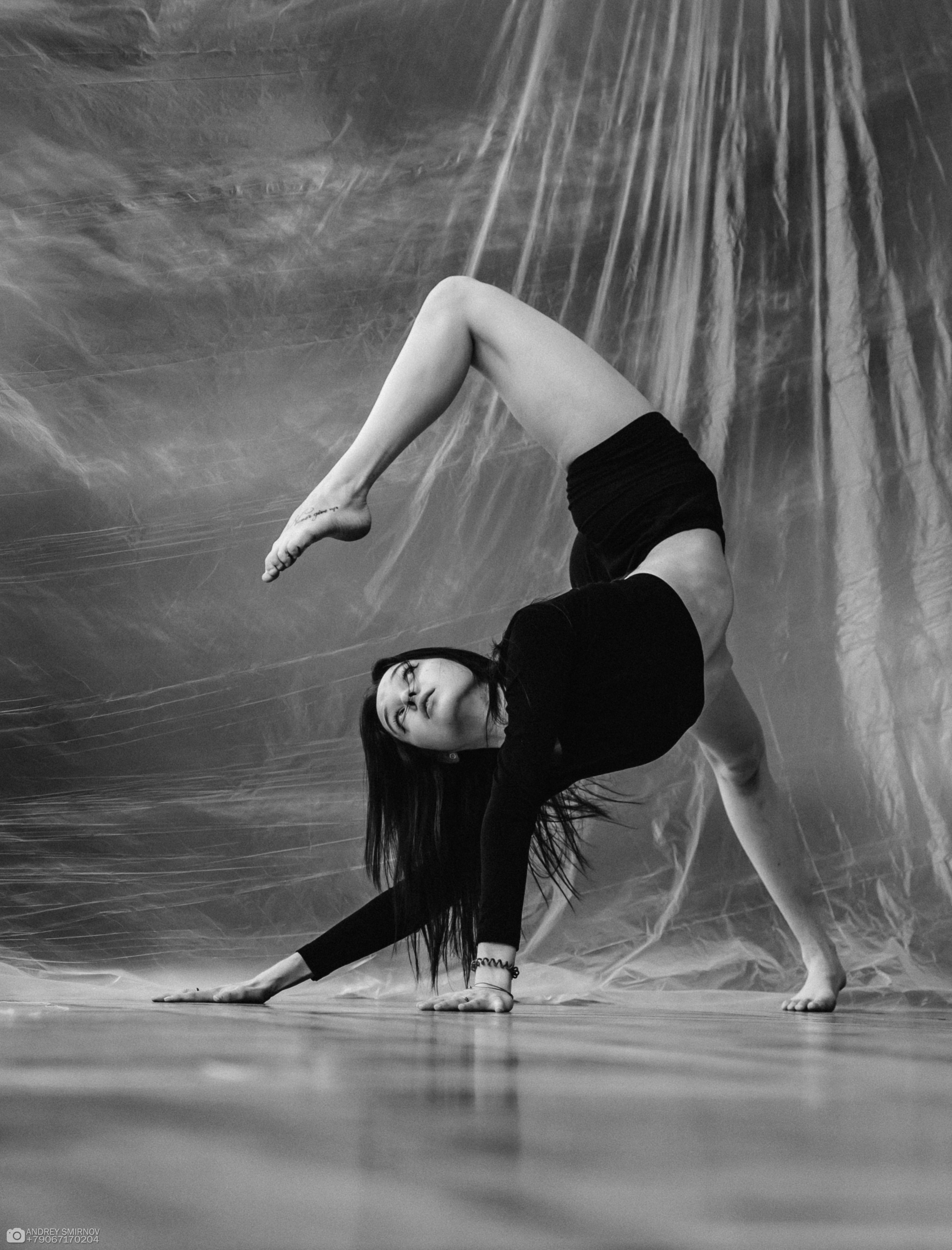 Forse Vivo. FOTOZ Studio / Фотовидеомейкер Андрей Смирнов