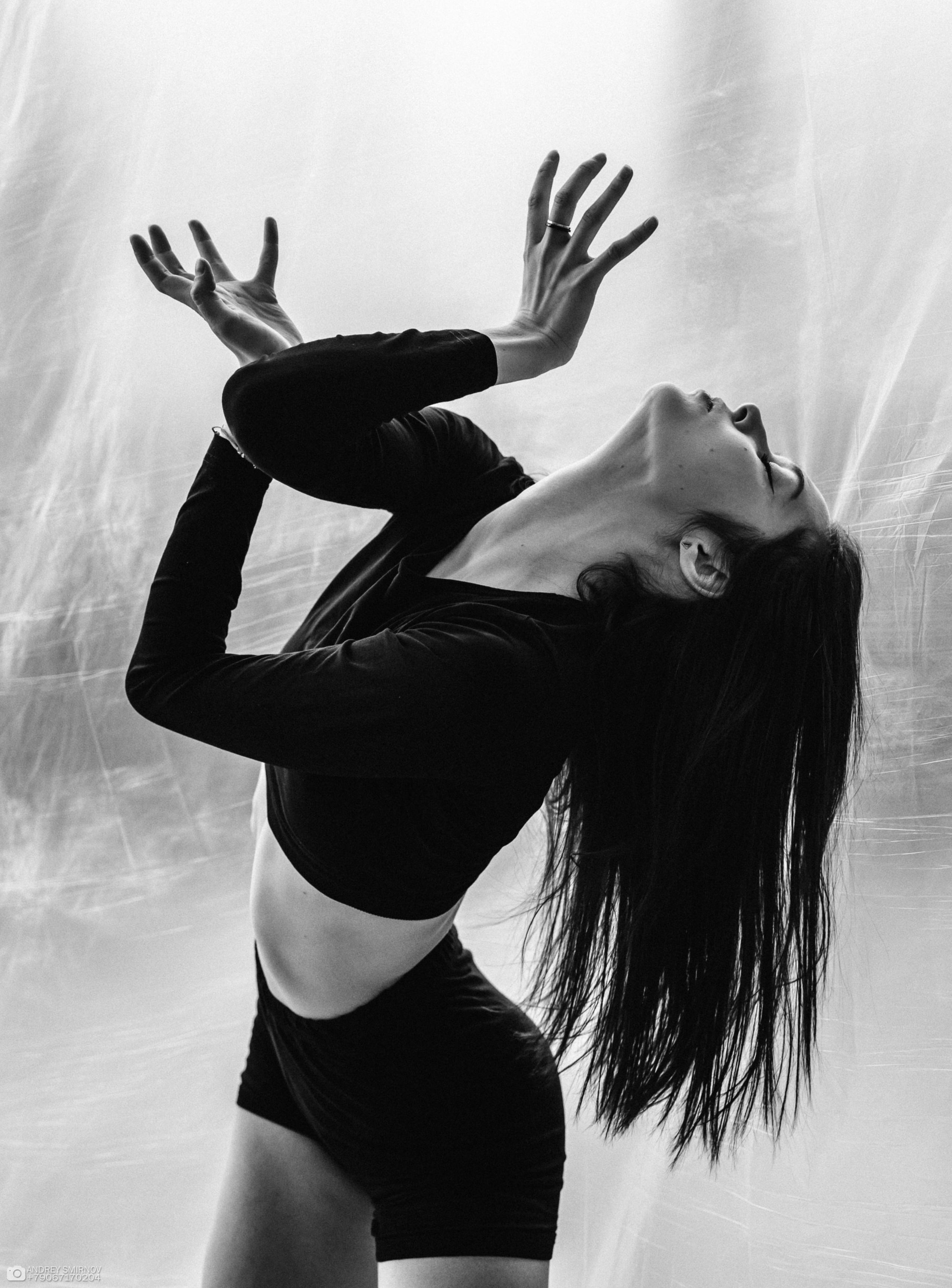 Forse Vivo. FOTOZ Studio / Фотовидеомейкер Андрей Смирнов