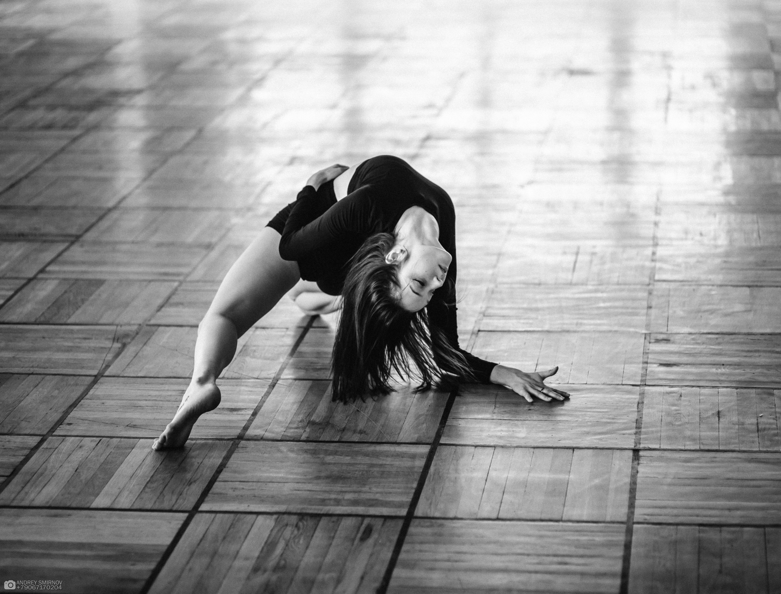 Forse Vivo. FOTOZ Studio / Фотовидеомейкер Андрей Смирнов