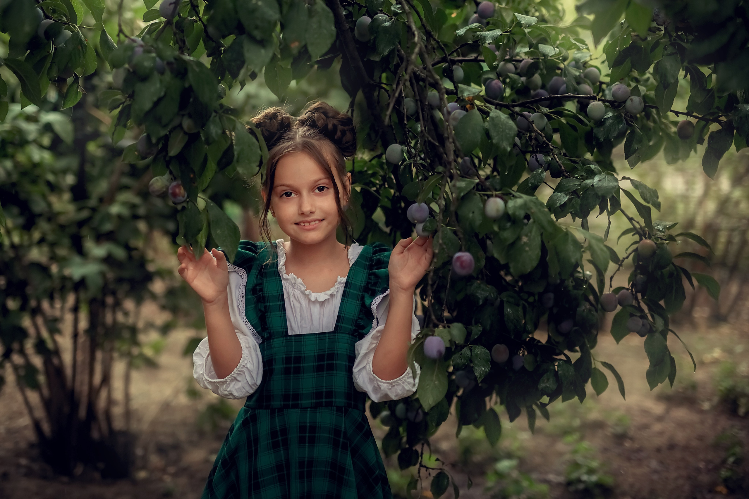 Сливовая история. Семейный и детский фотограф Екатерина Савёлова