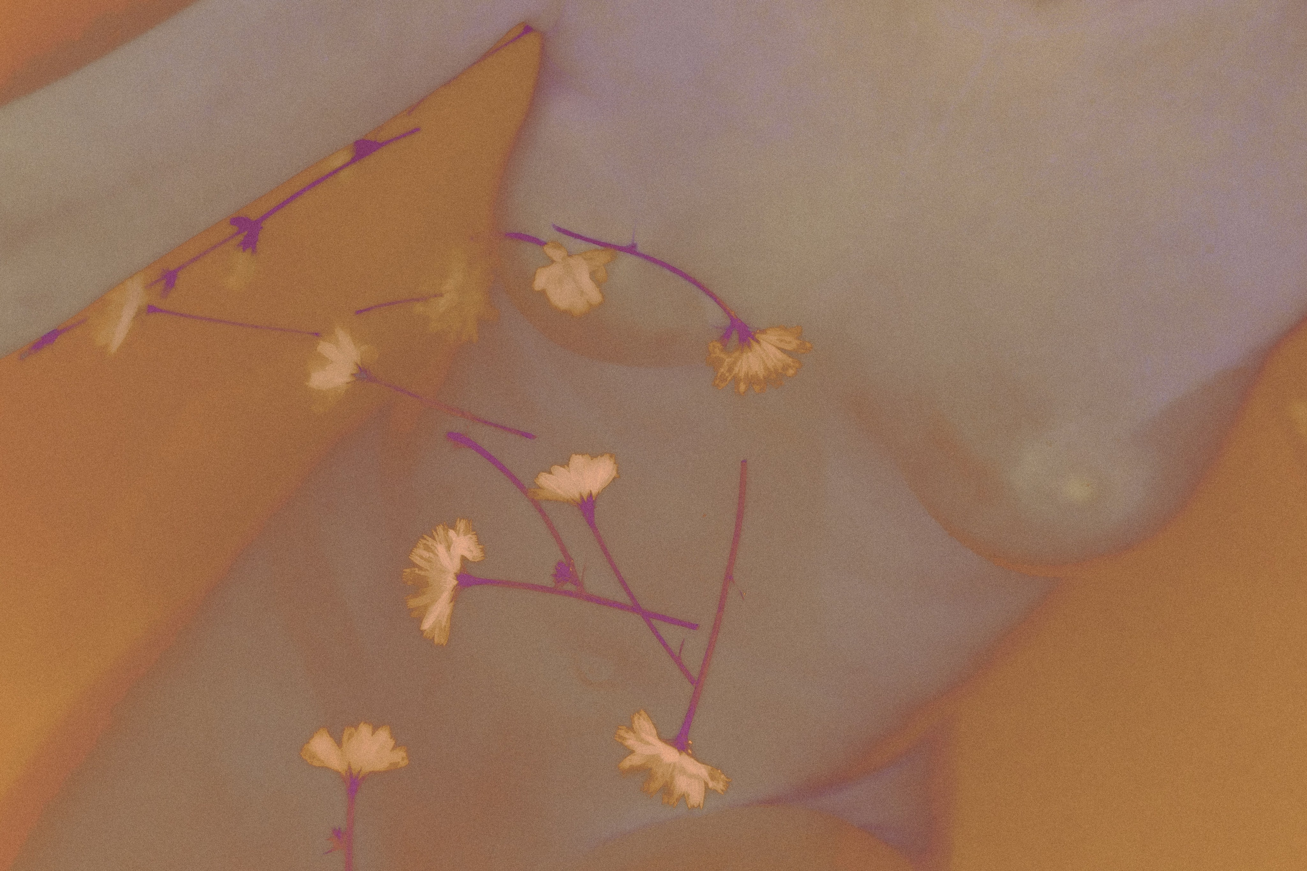 AWAKENING. Фотограф, визуальный артист Наташа Солнцева, Москва