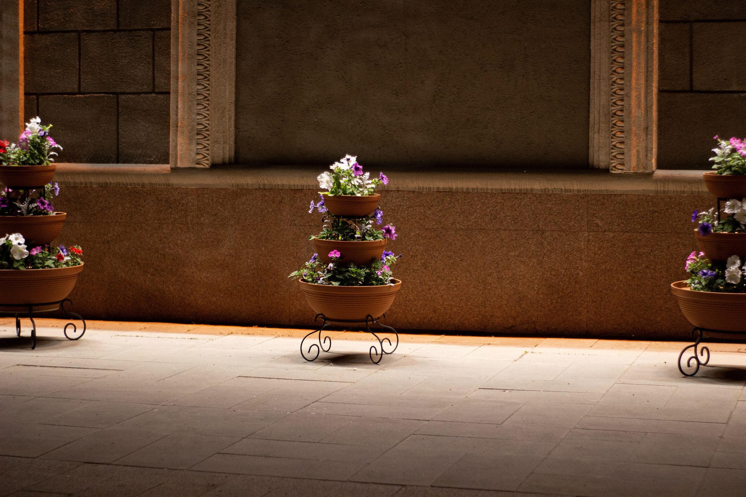 Street съёмка. Dyachenko Elena — фотограф из Сибири