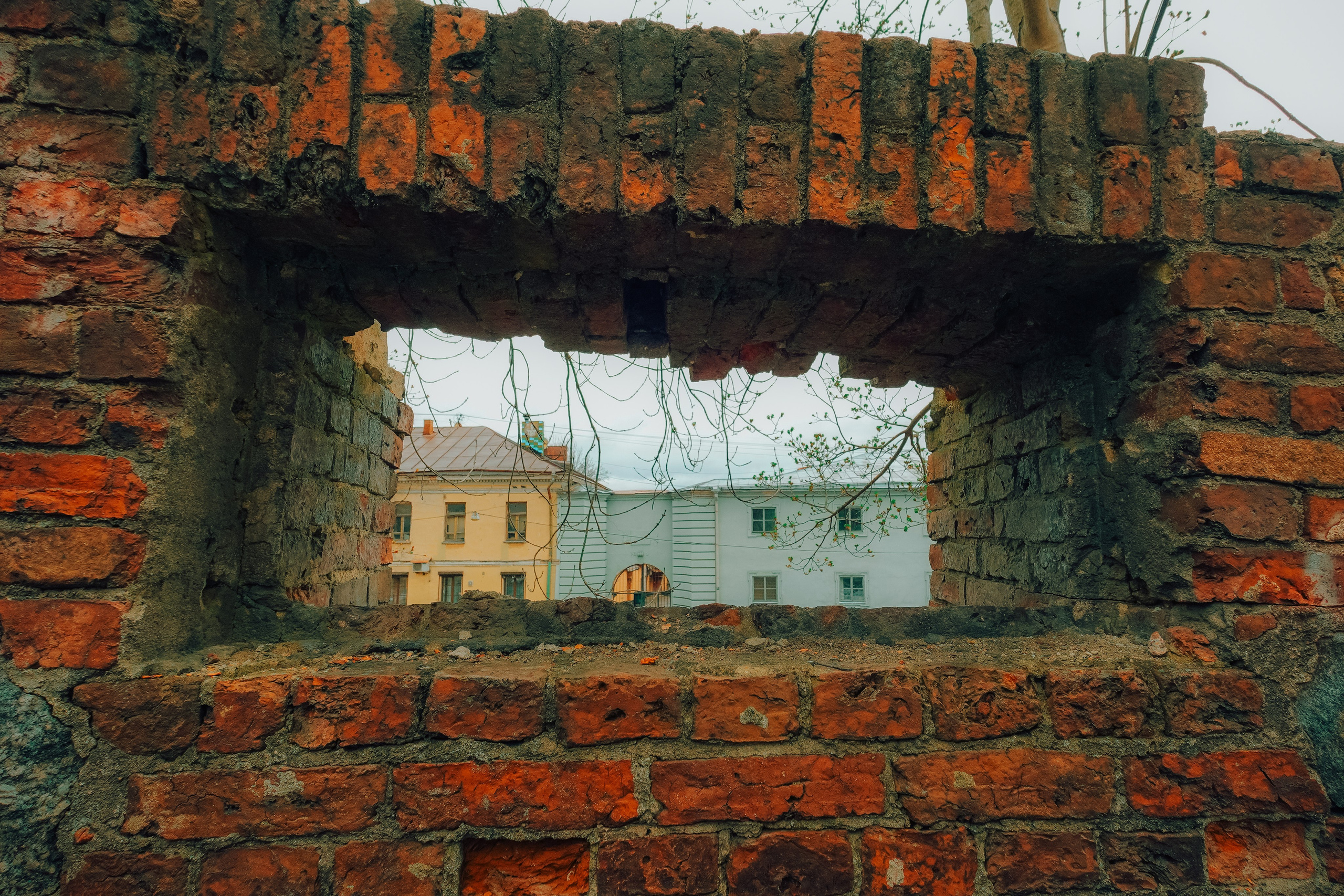 Выборг. Фотограф Алиса Аспер