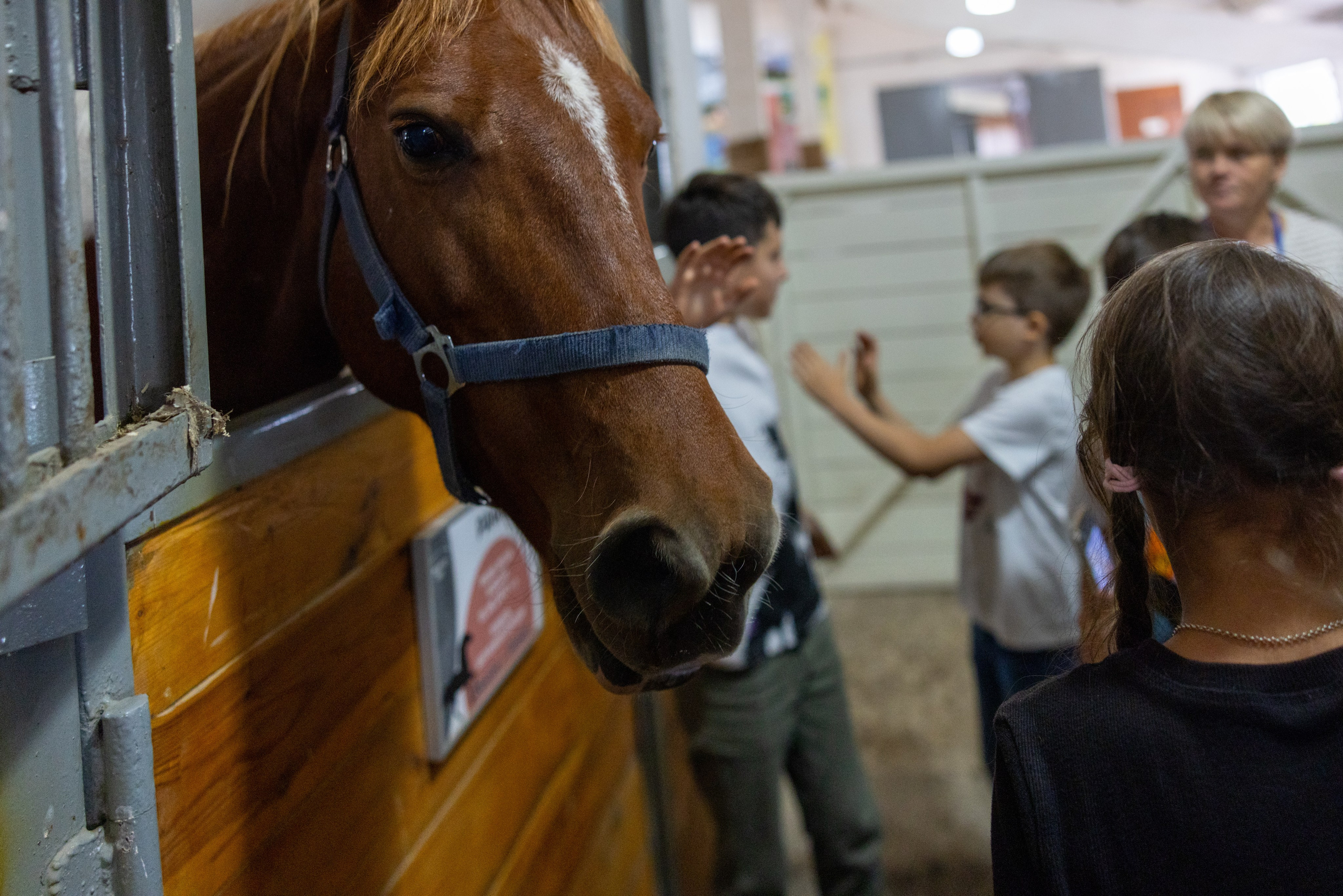 Поездка на поле Кулеково. Фотограф в Туле Крупский АнДРей. Фотостудия «КАДР71» в Туле