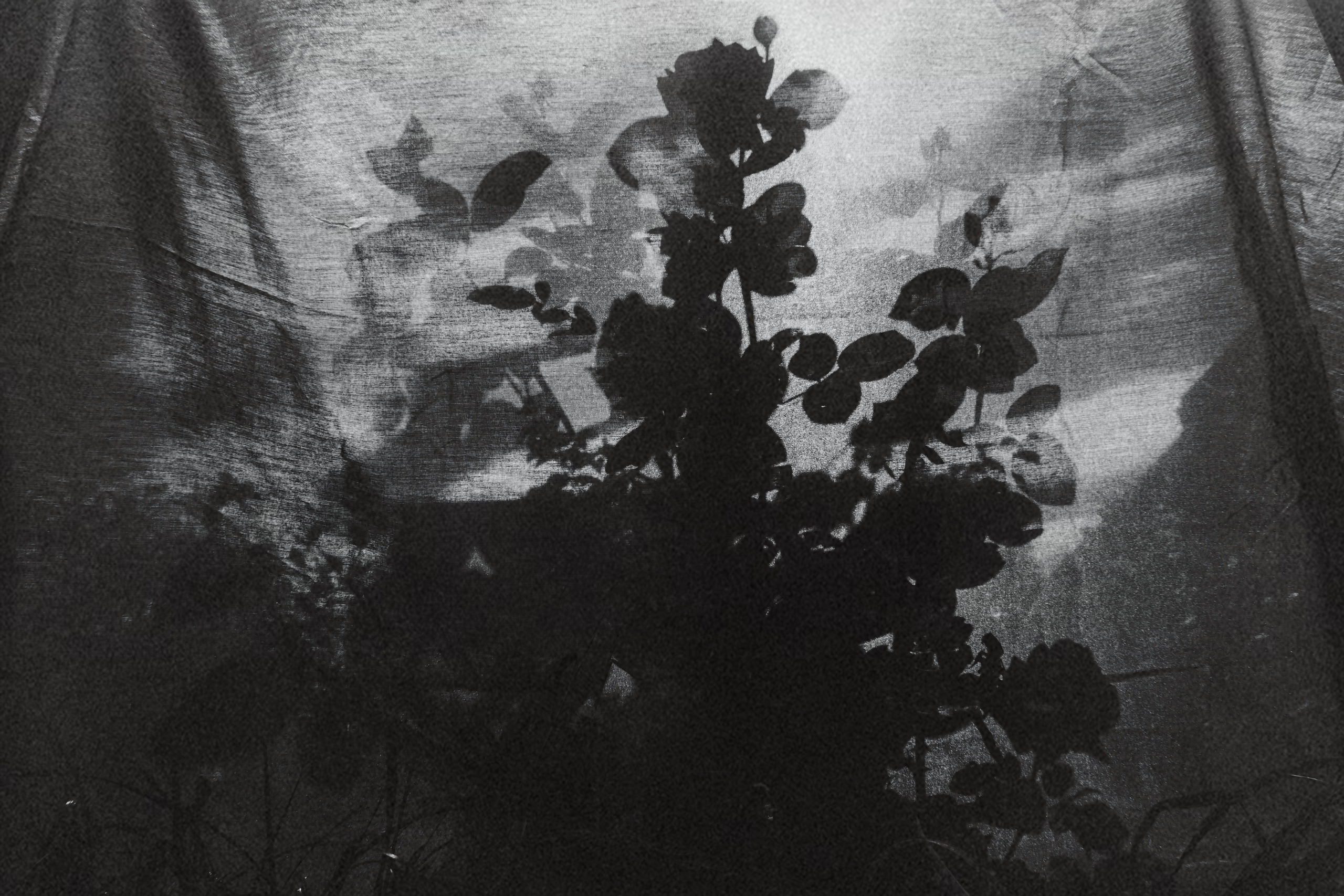 Photo by anya stepanenko