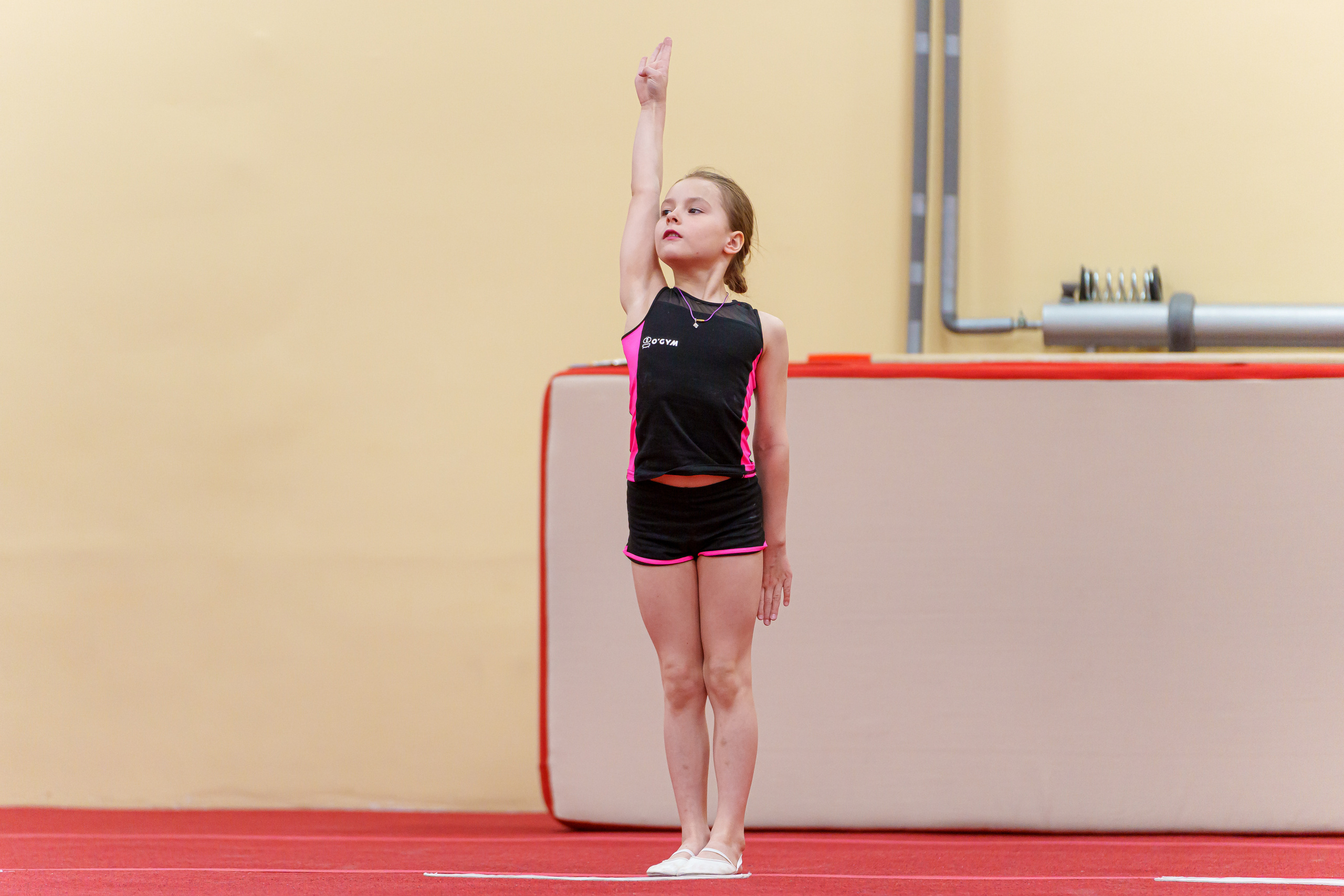 Галерея. Центр гимнастики и акробатики «O'GYM»