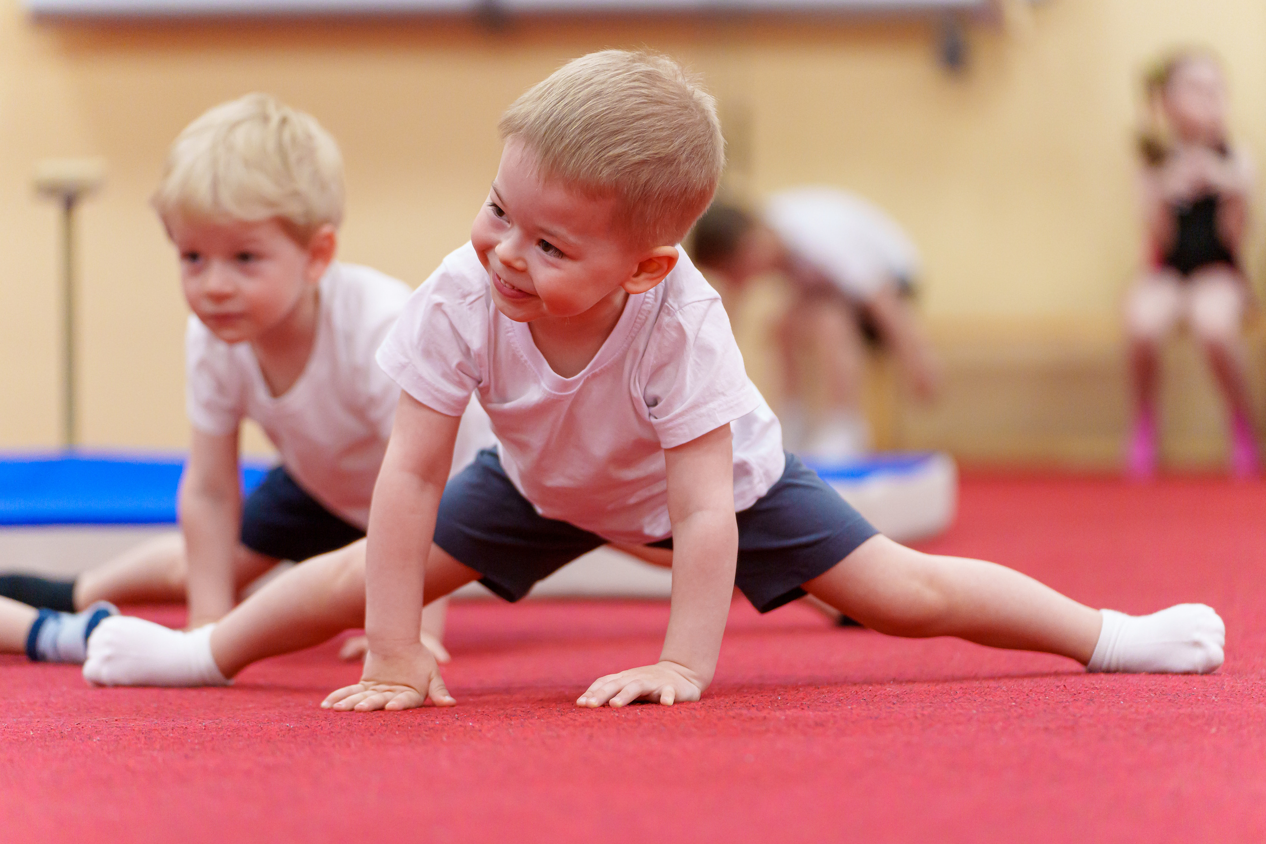 Галерея. Центр гимнастики и акробатики «O'GYM»