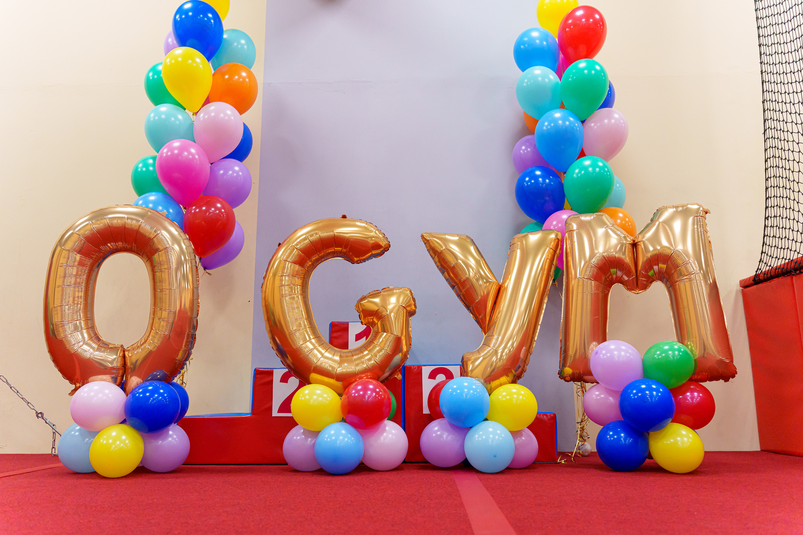 Галерея. Центр гимнастики и акробатики «O'GYM»