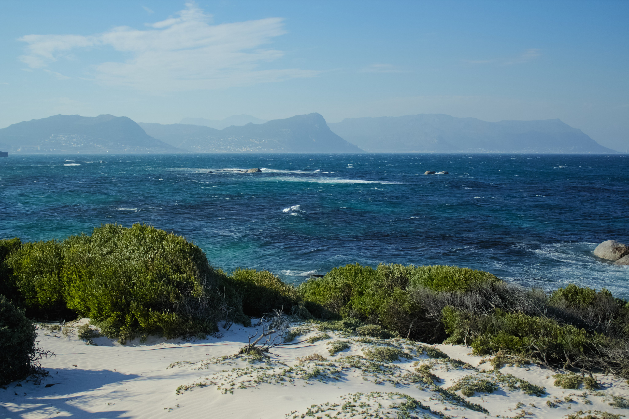 ЮАР. Профессиональный Фотограф во Владимире, в Москве и в Суздале — Полина Романычева