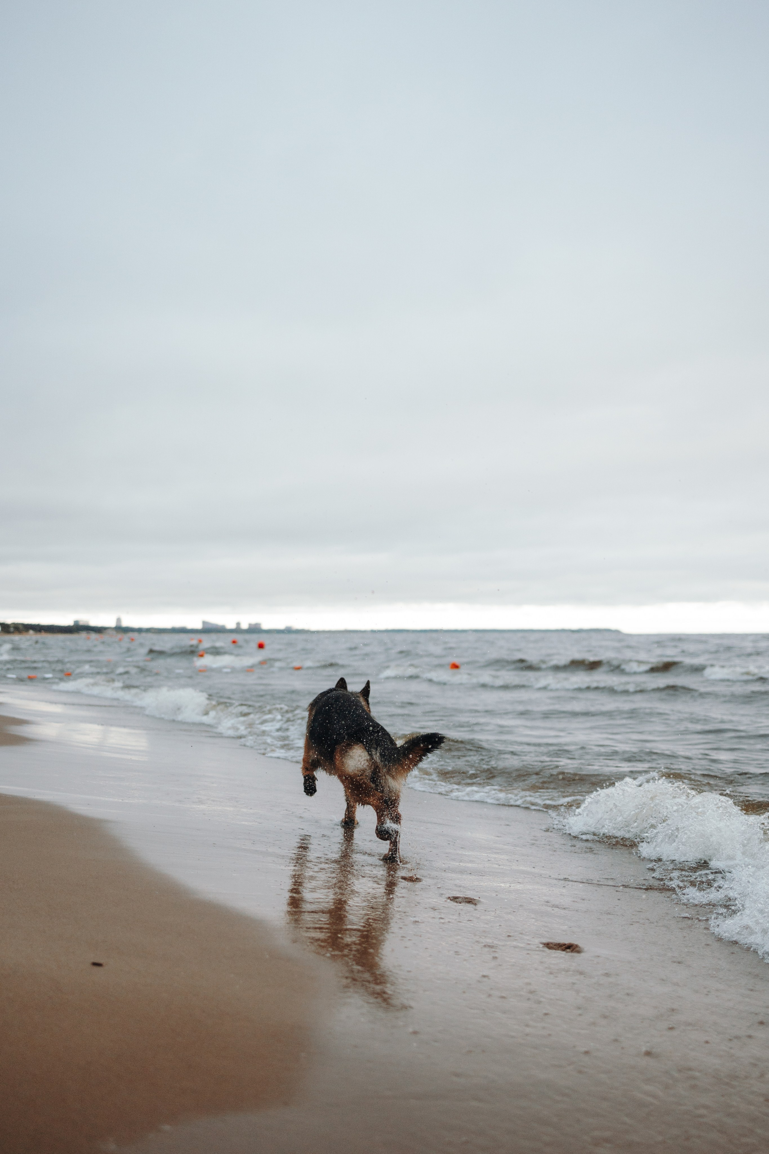Катя и Агат. Фотограф — Анималист | Санкт-Петербург