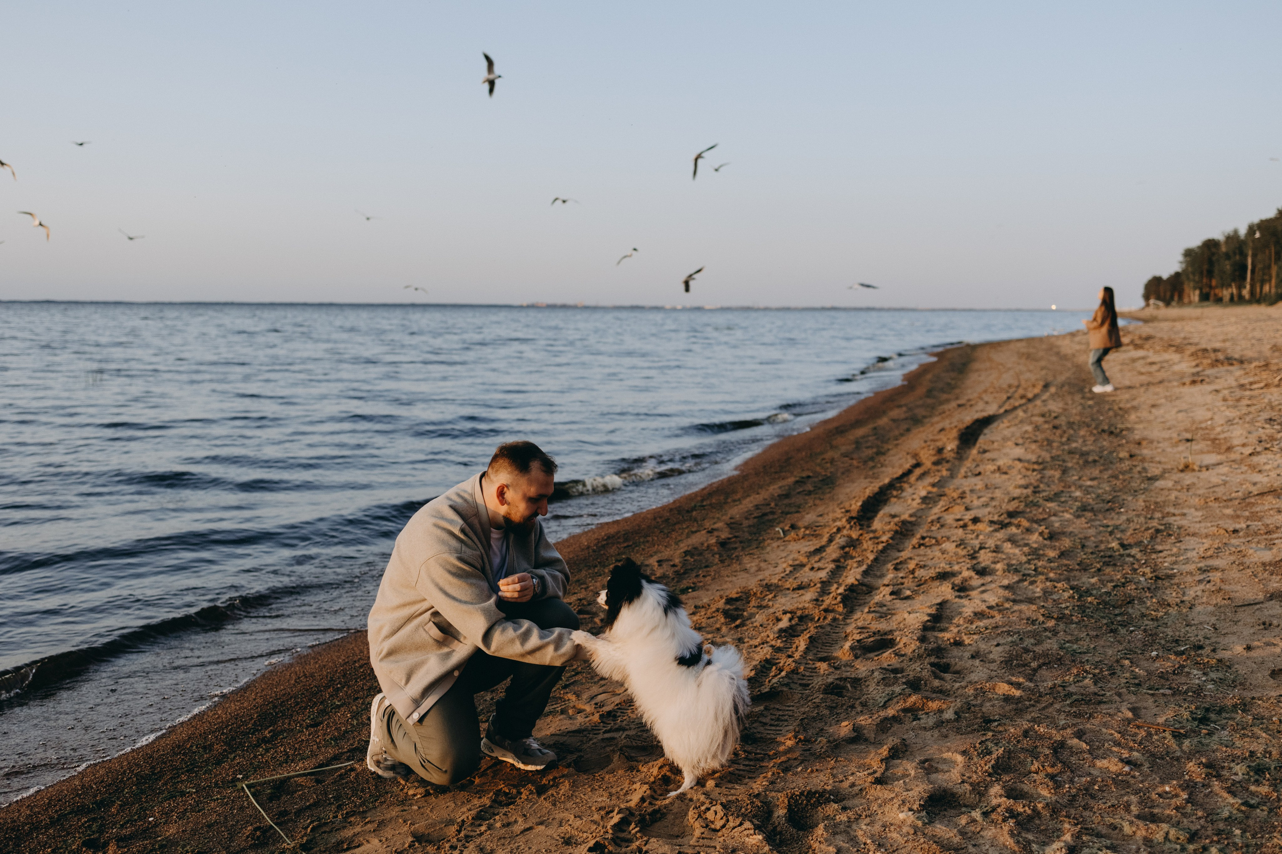 Диана и ее мальчики. Фотограф — Анималист | Санкт-Петербург