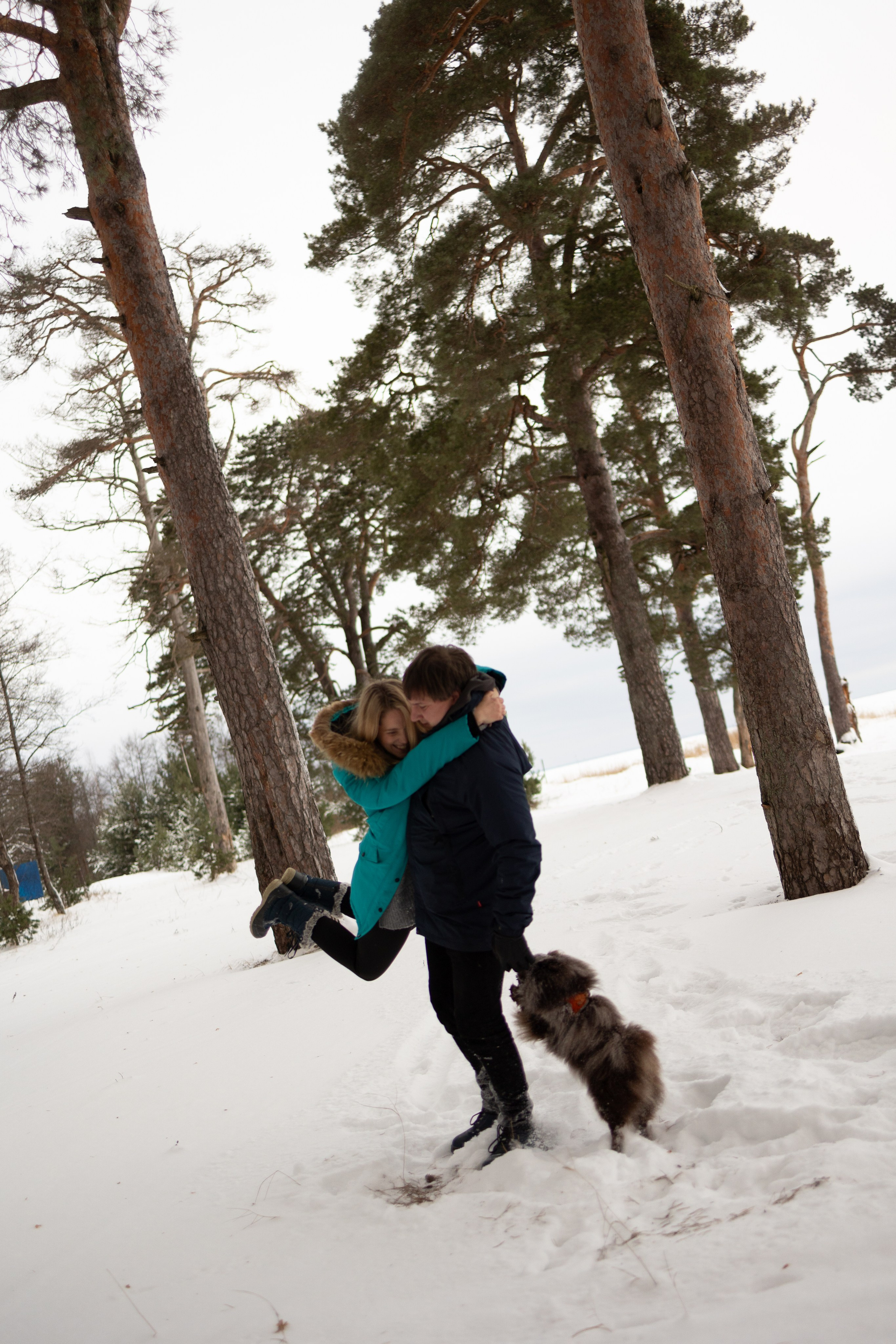 Пресеты. Фотограф — Анималист | Санкт-Петербург