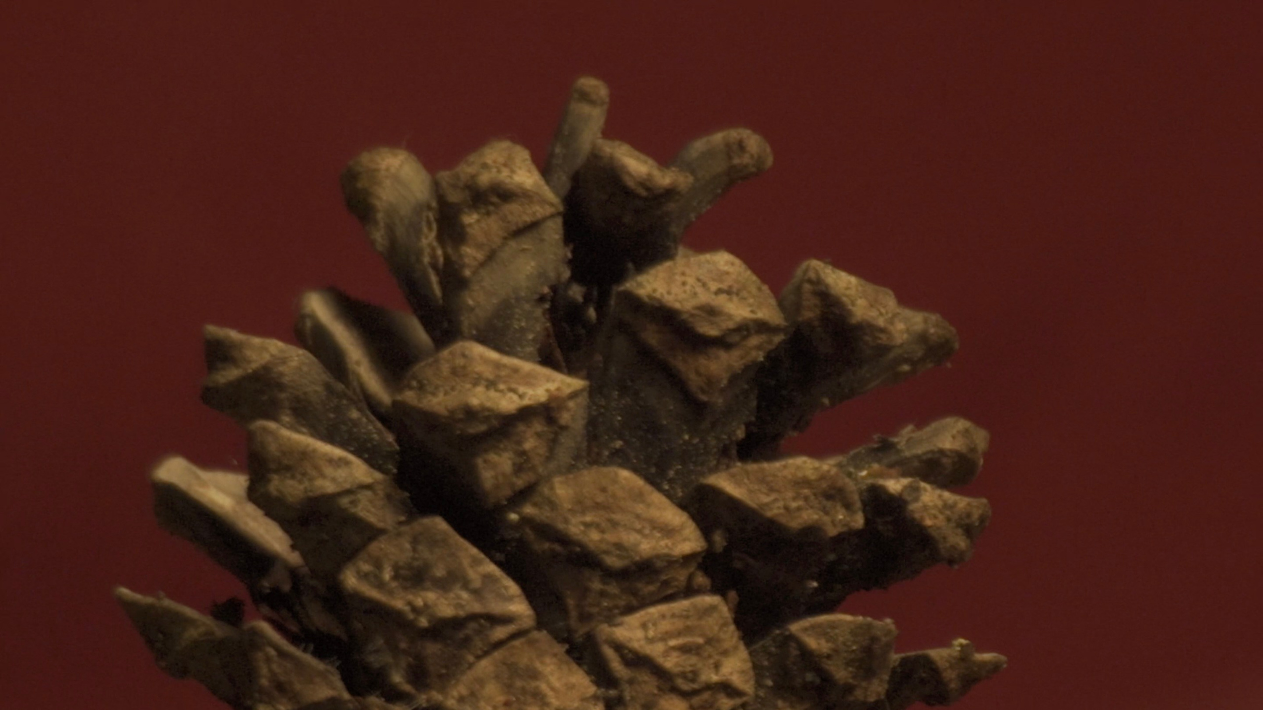 Hyle. Михаил Курганов