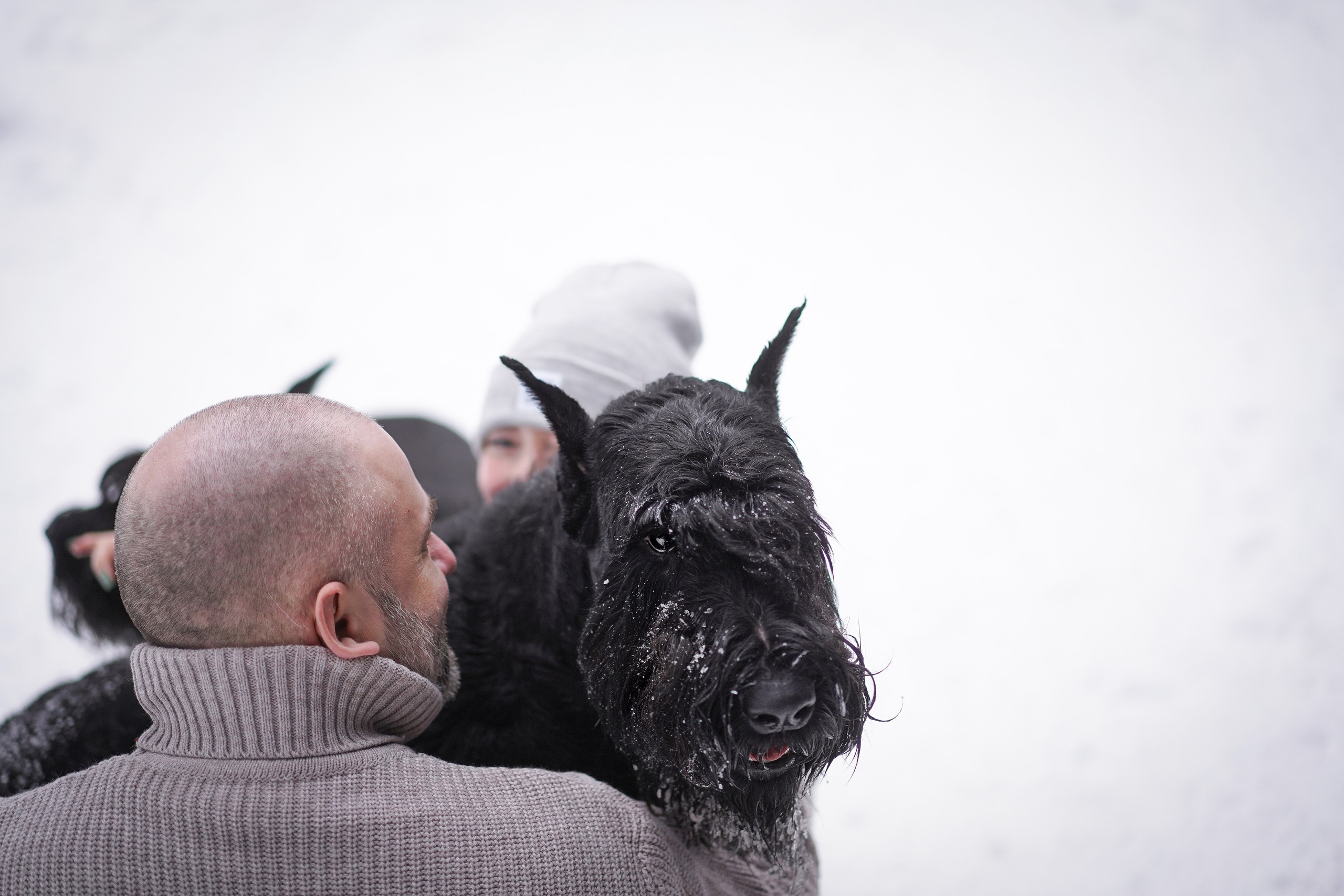 Оля Миша и шнауцеры. Фотограф-анималист в Санкт-Петербурге Яна Мартынова