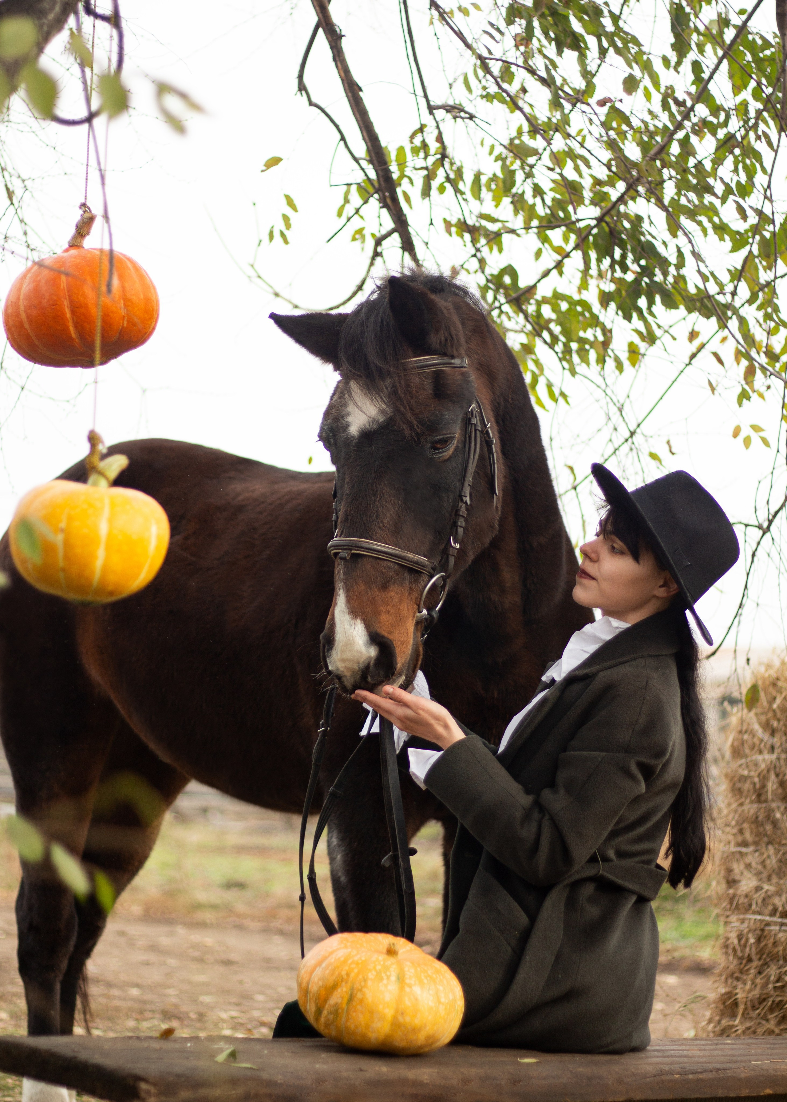 Дарья и Бегун. Фотограф в Иркутске, Харитонова Елизавета
