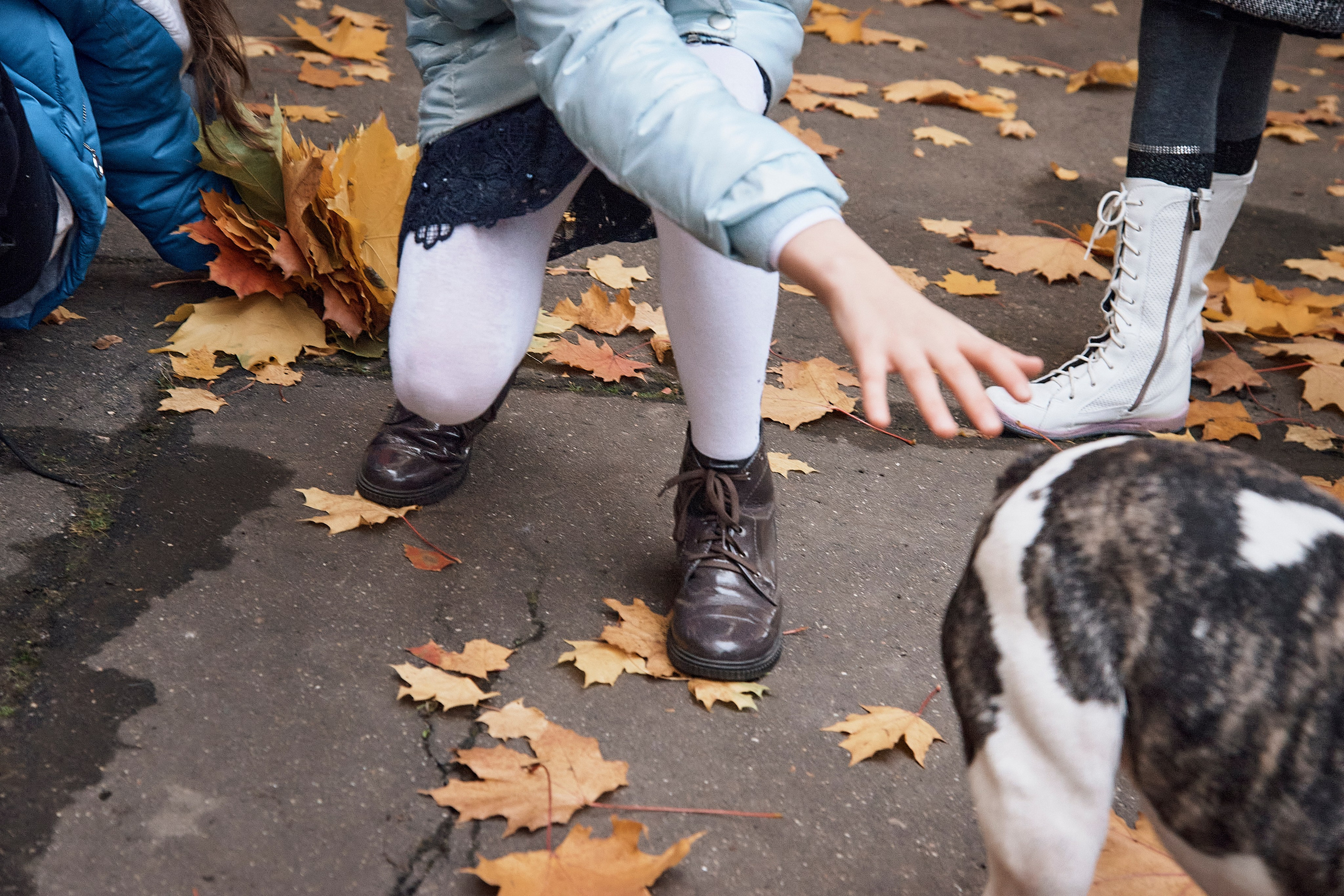 Дружный и веселый 4Д (Гимназия 13, Одинцово). Школьный и семейный фотограф, Одинцово