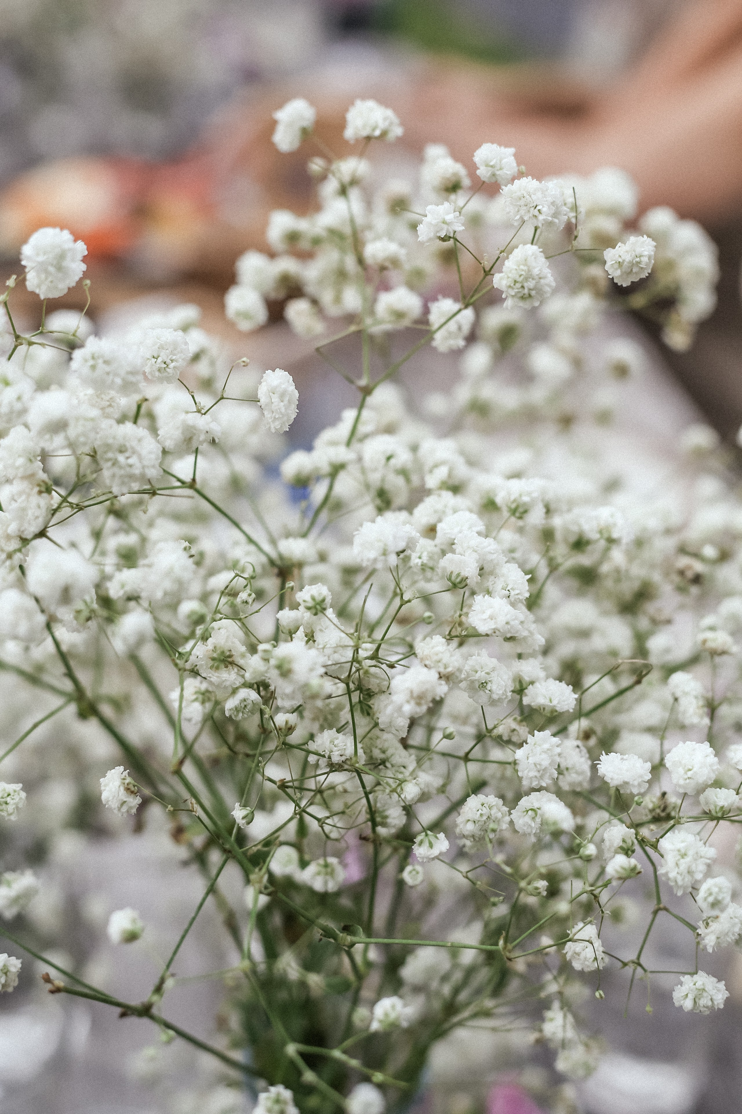 Винный Девичник в стиле Прованс. Фотограф и видеограф Анна Домашенко