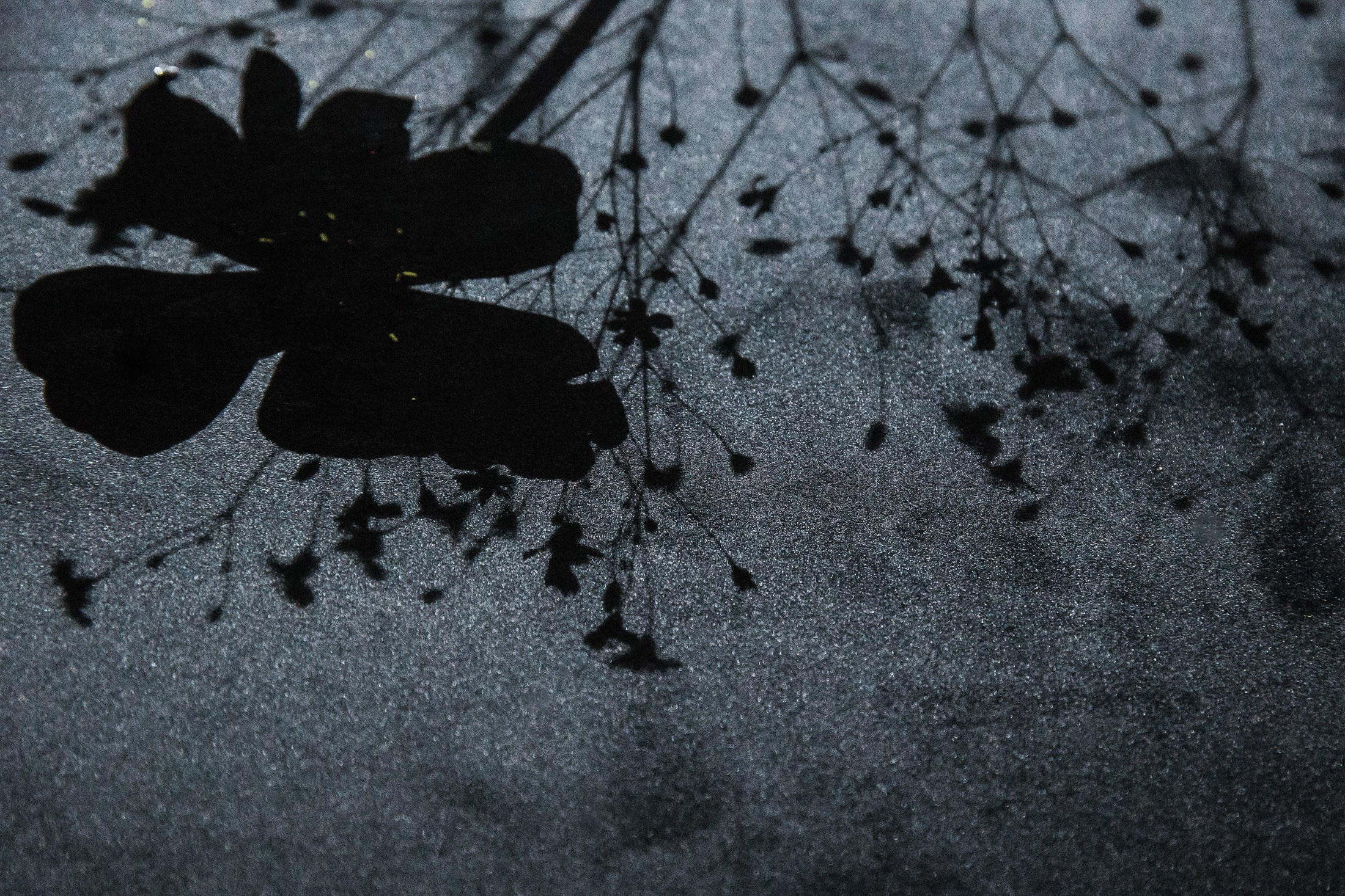 «Как с луны упалИ». Свадебный и семейный фотограф в Краснодаре Роман Моско