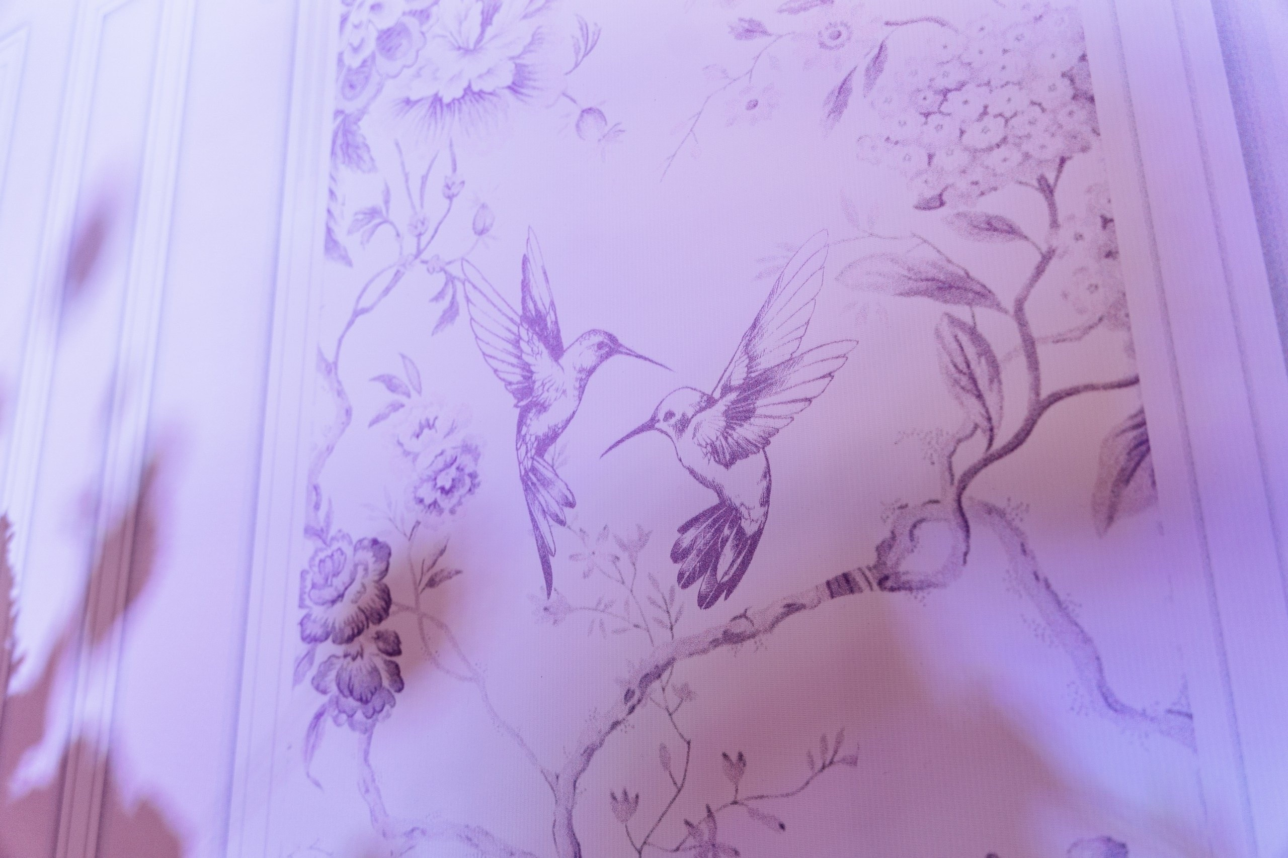 Фото: Елена Гордеева