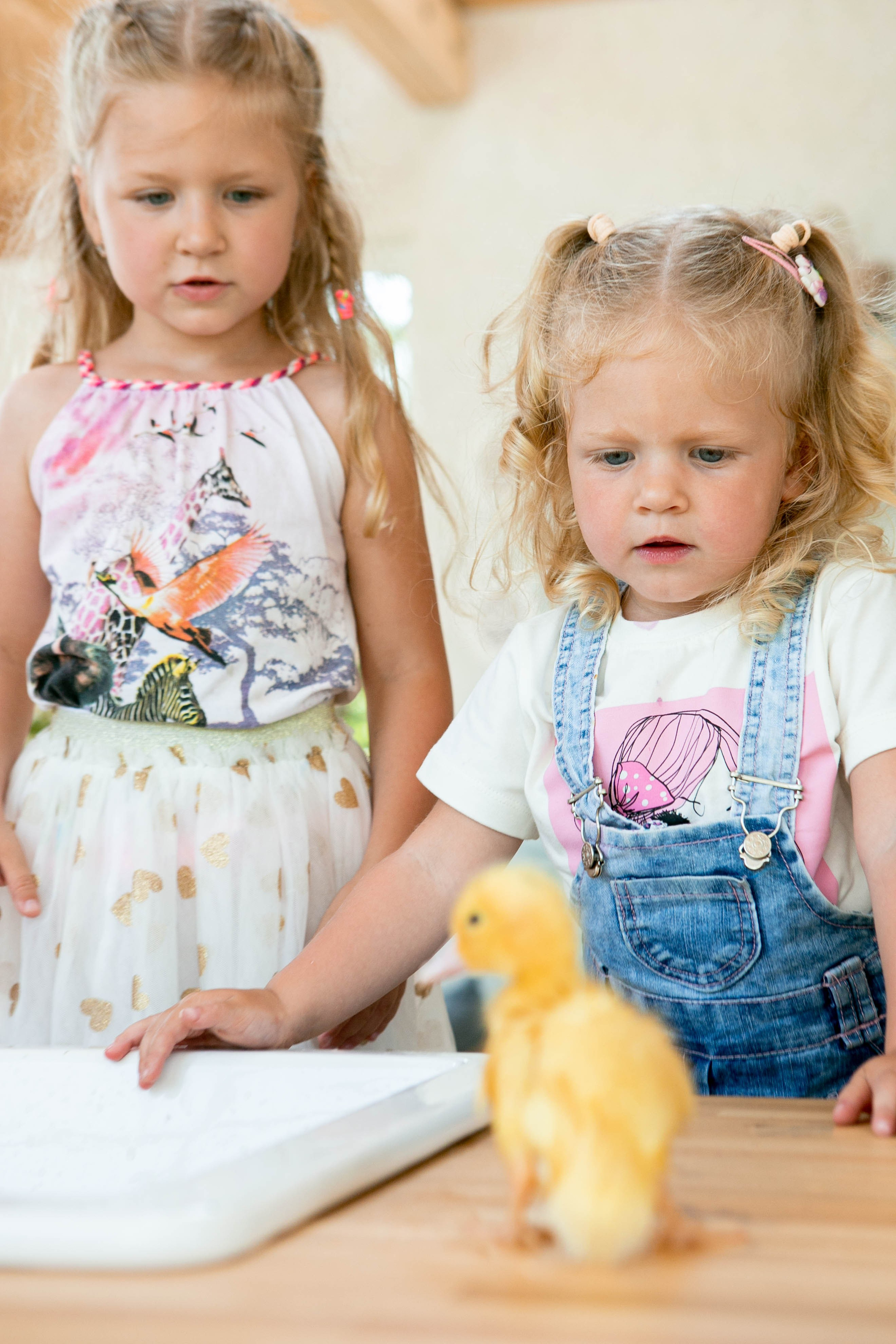 Ю и М. Семейный и детский фотограф в СПБ, Пушкин, Колпино, Славянка, Тосно