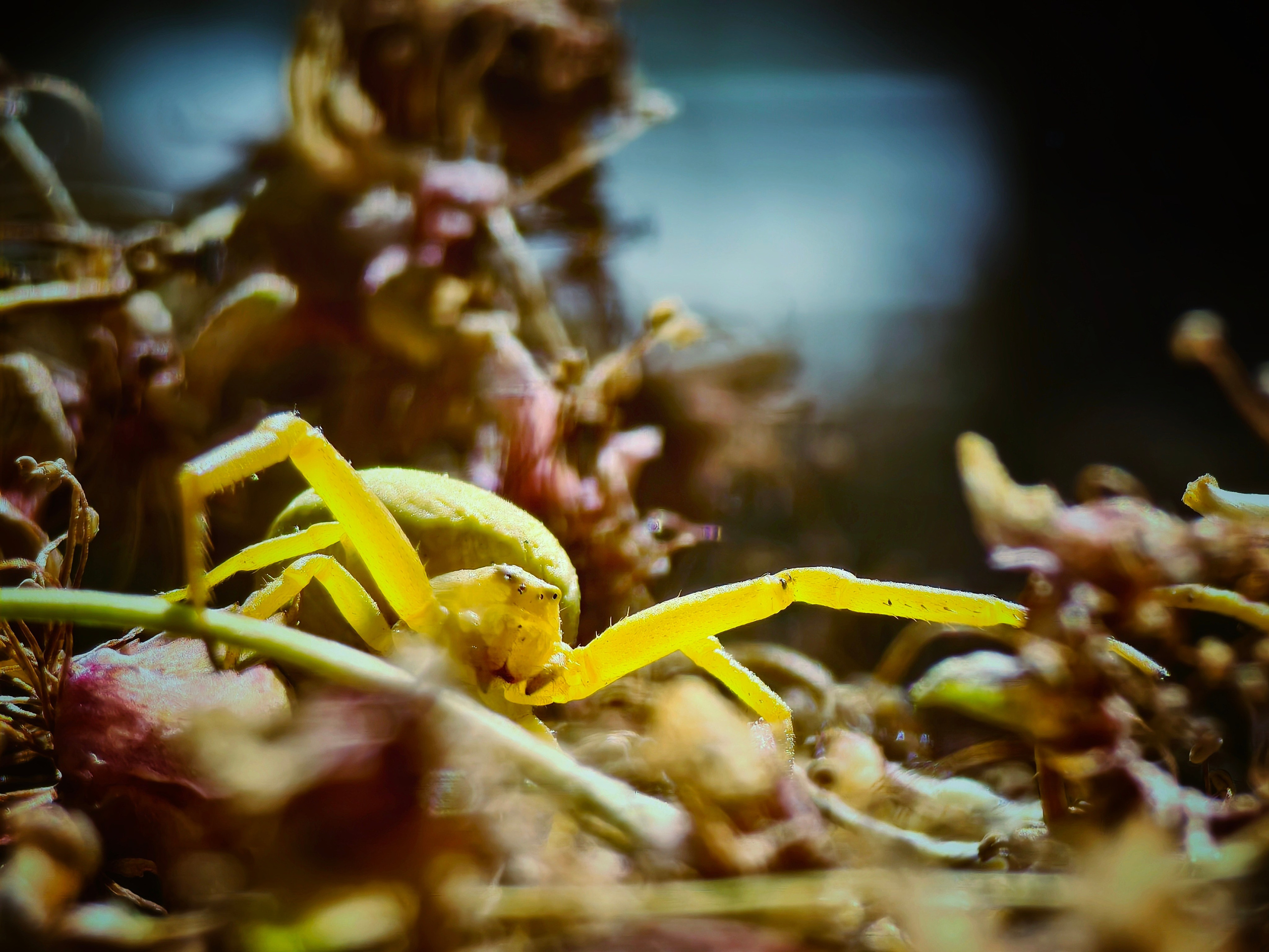 Большое в малом