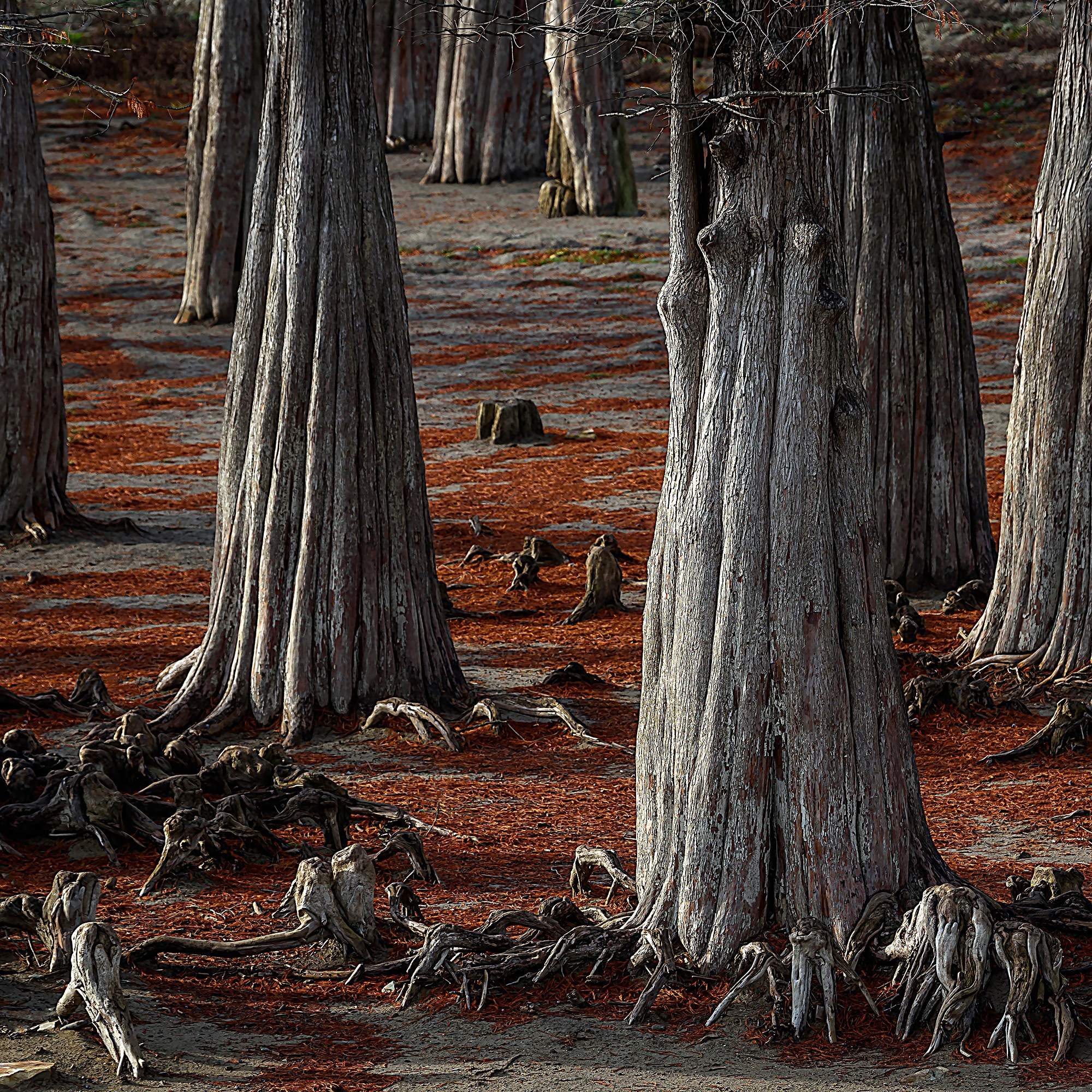 Пейзажи. Яркие фото на Чёрном море