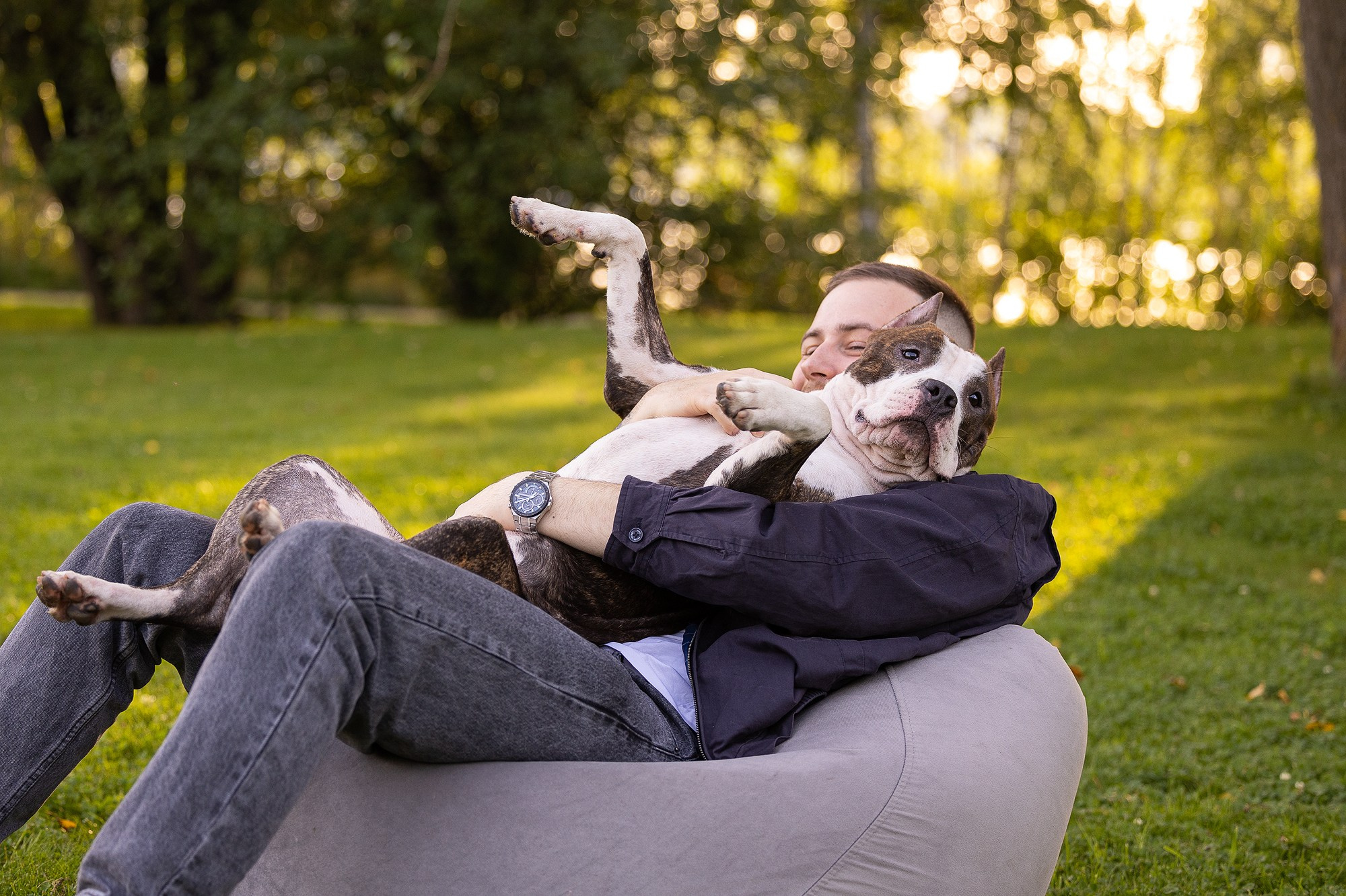 Амстафф Честер и его семья. Фотограф-анималист Natalia Deingel | Фотосъемка собак в Москве