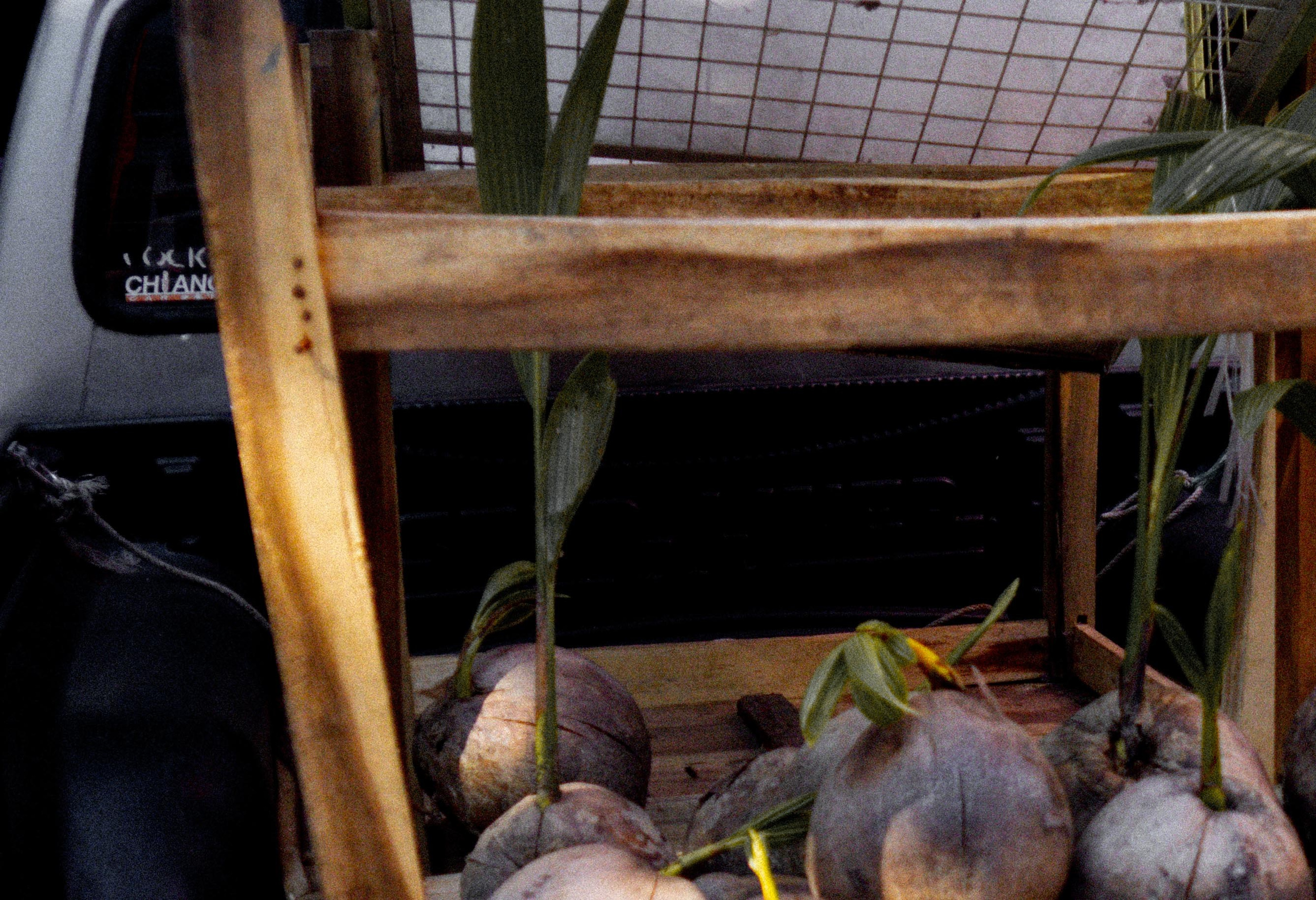 Art portfolio. AleSeeva