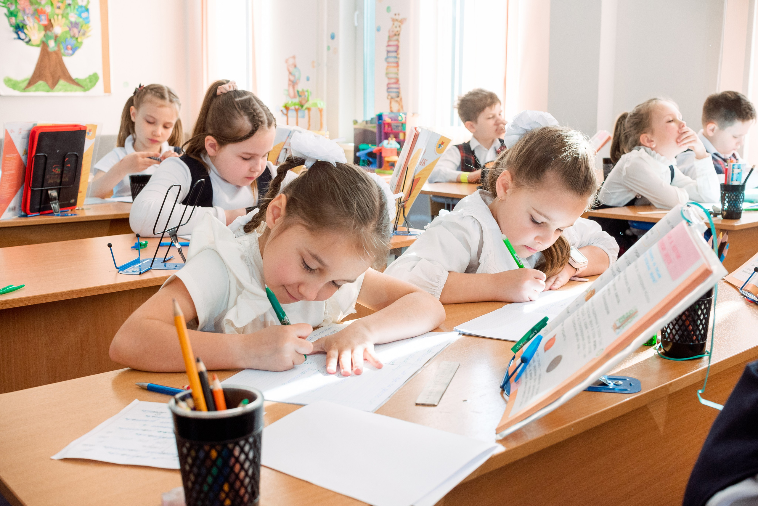 Начальная школа. Выпускные альбома Москва и Московская область