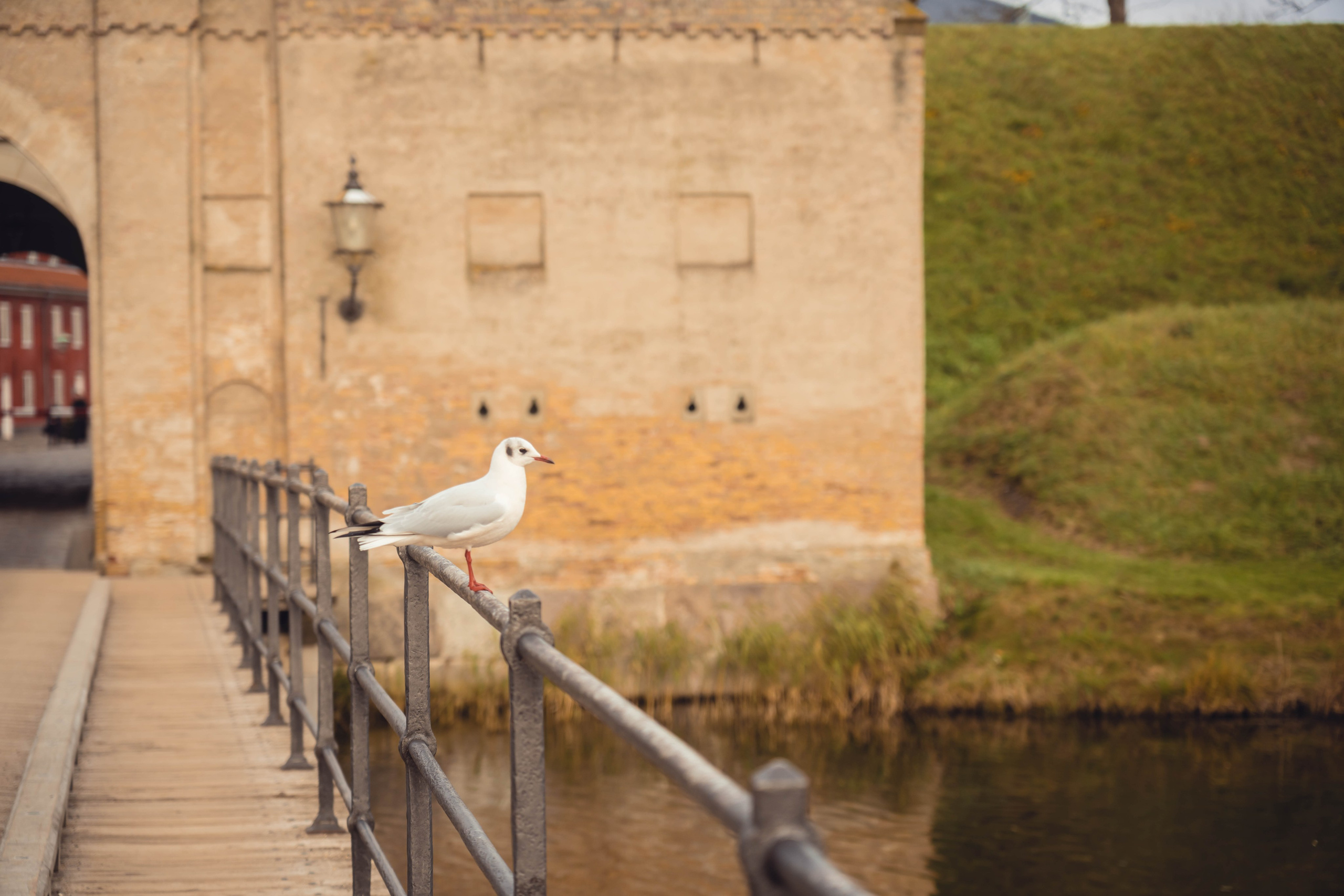Дания. Фотографирую для себя, своей семьи и друзей!