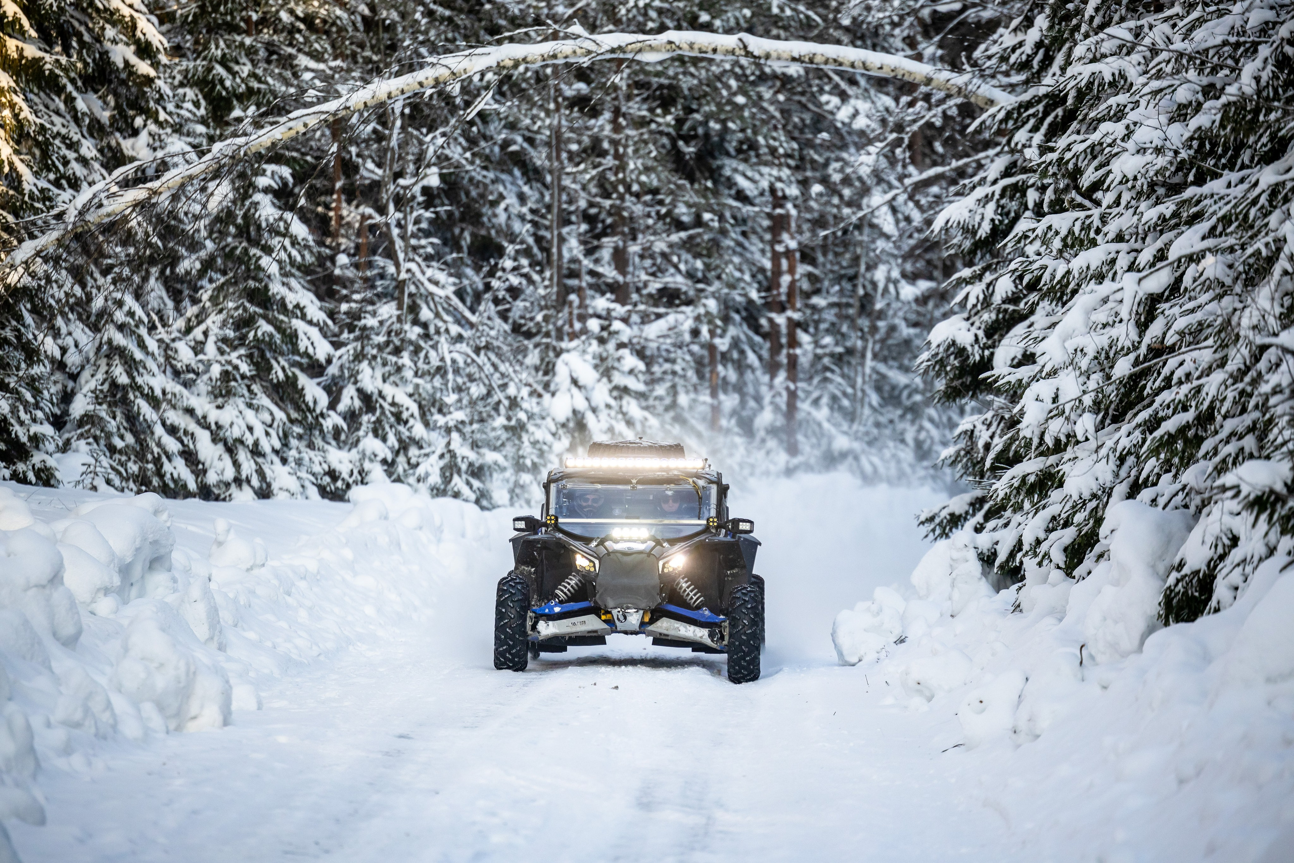 Ралли СеверныйЛес