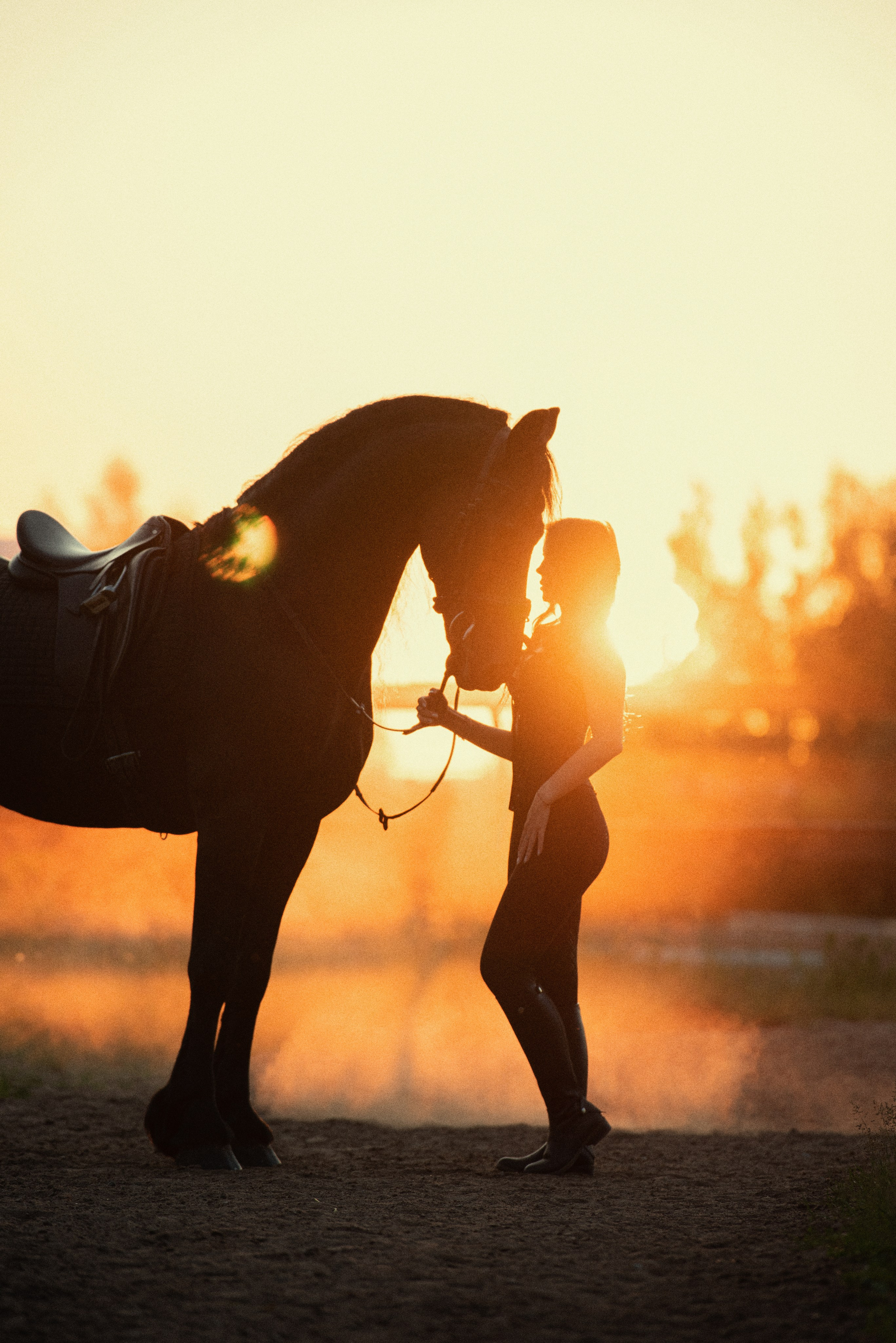 Фотосессия с лошадьми на закате — Подмосковье