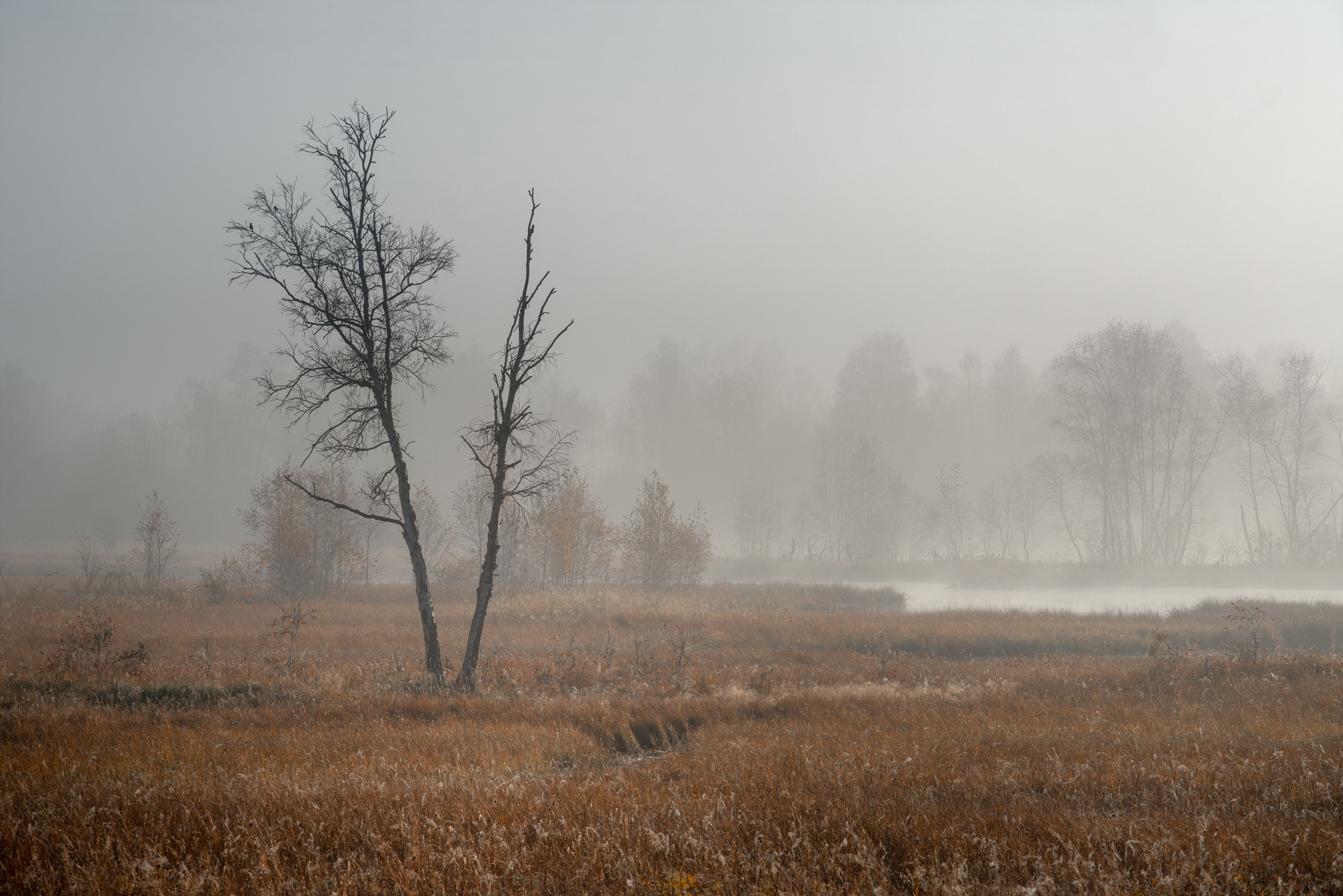 Бурятия. Фотограф в Красноярске Нерозя Александр. Пейзаж, природа, портрет