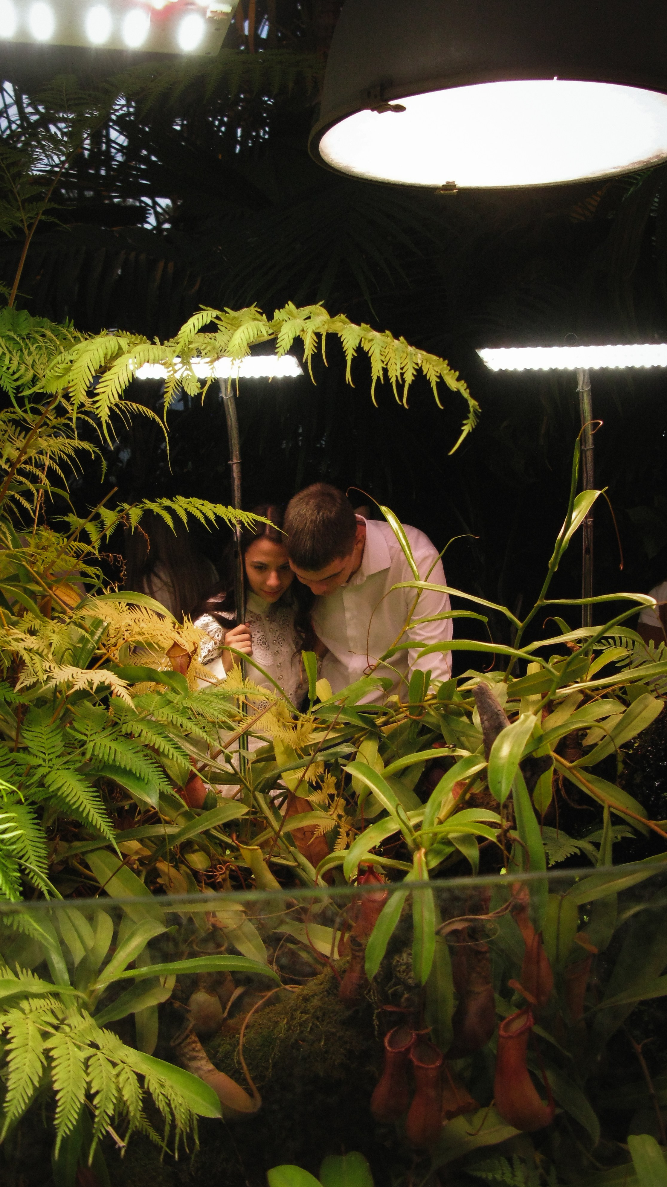 Анастасия и Владислав. Портретный и свадебный фотограф в Москве Александра