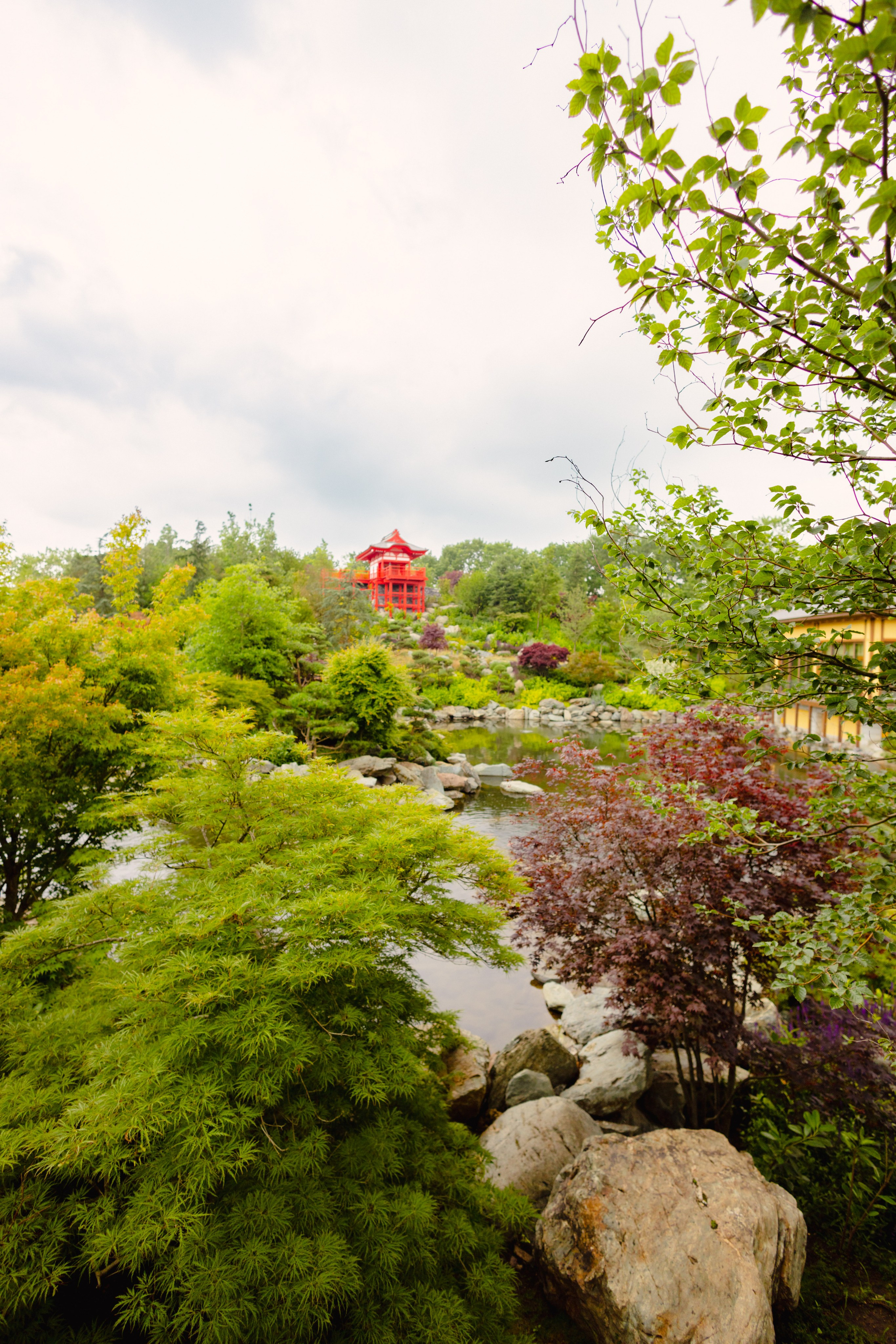 Японский сад в Краснодаре. Профессиональный фотограф и видеооператор
