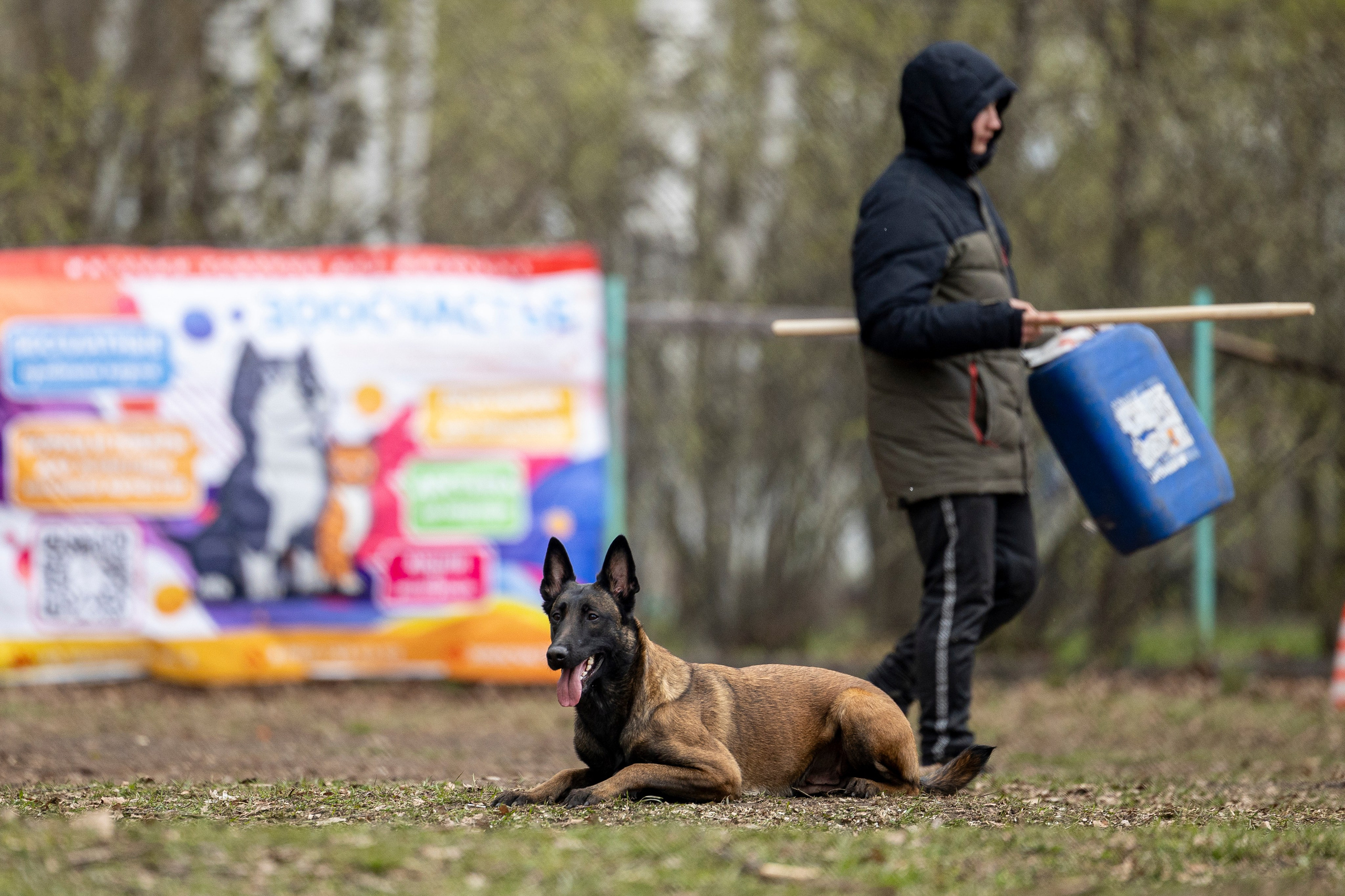 Квалификационные состязания по мондьорингу г. Вологда 11.05.24. Фотограф-анималист Анна Маринич